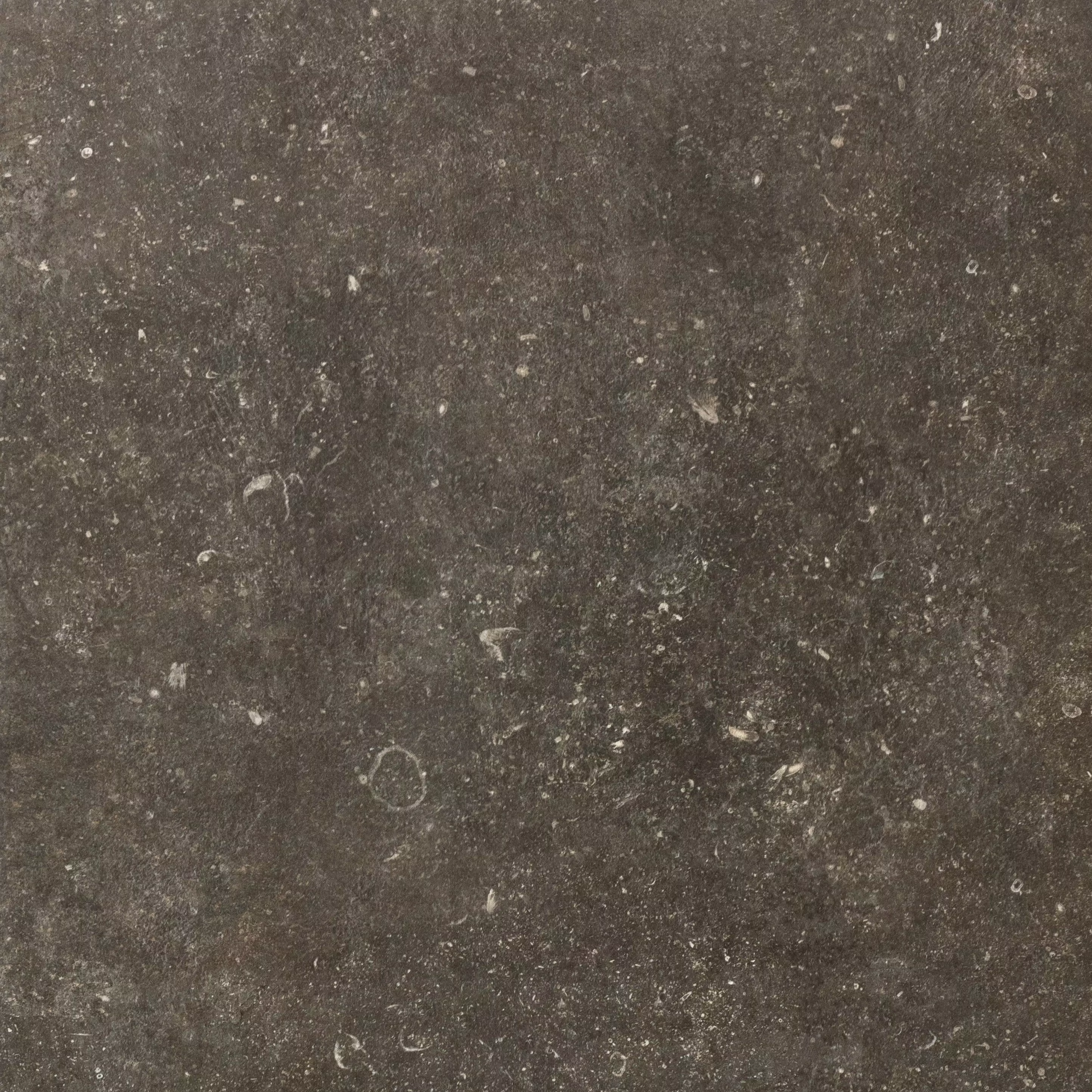 Désir | Florim