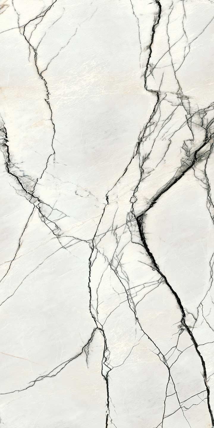 768750b.jpg