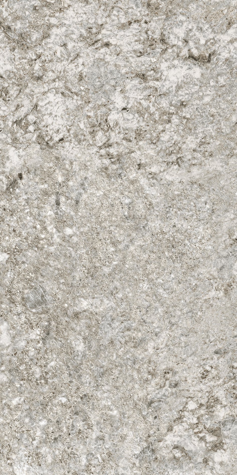 Color Plimagray/02 | Florim