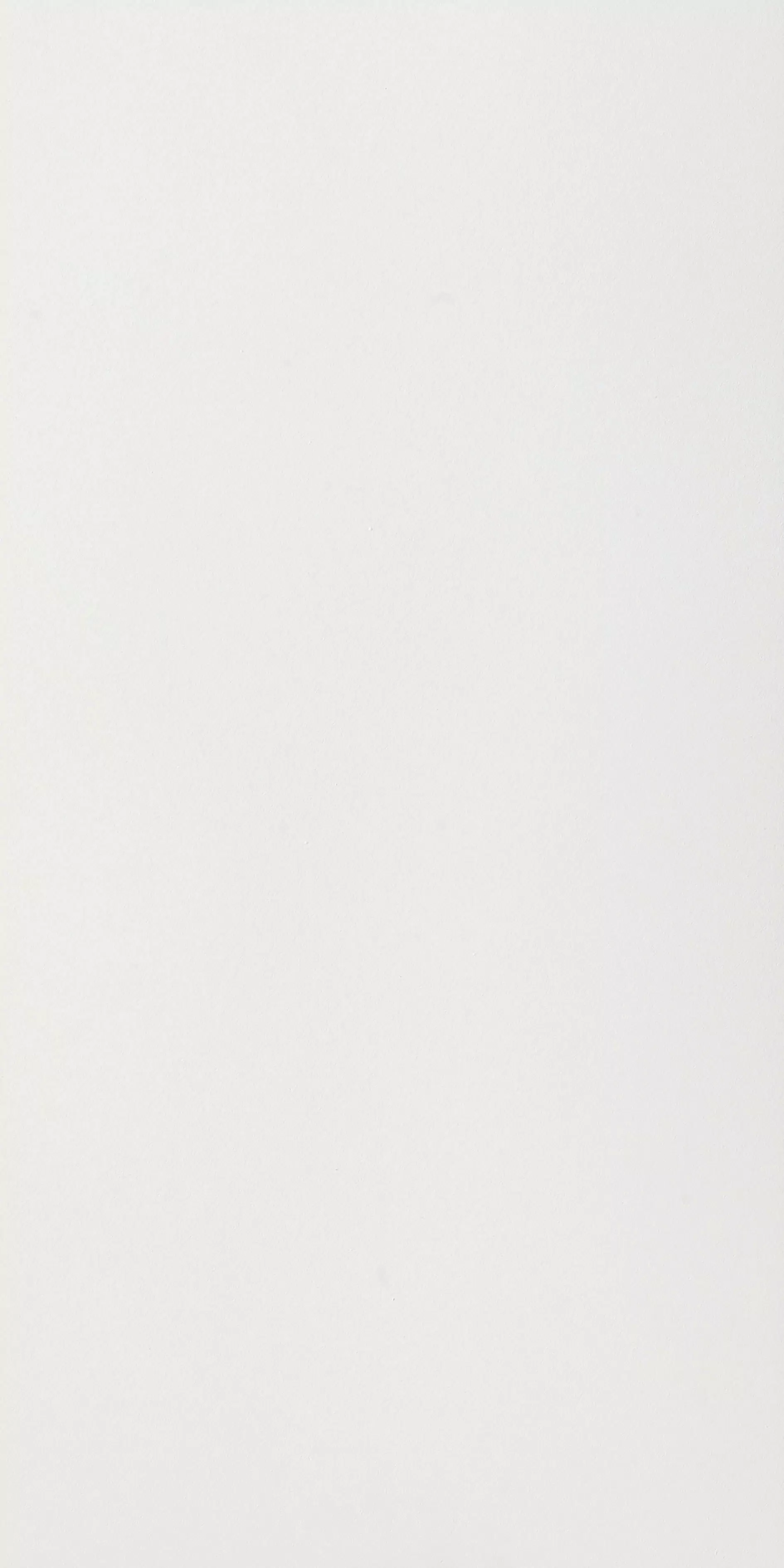 Color color white 160X320 matte - 751210 | Florim