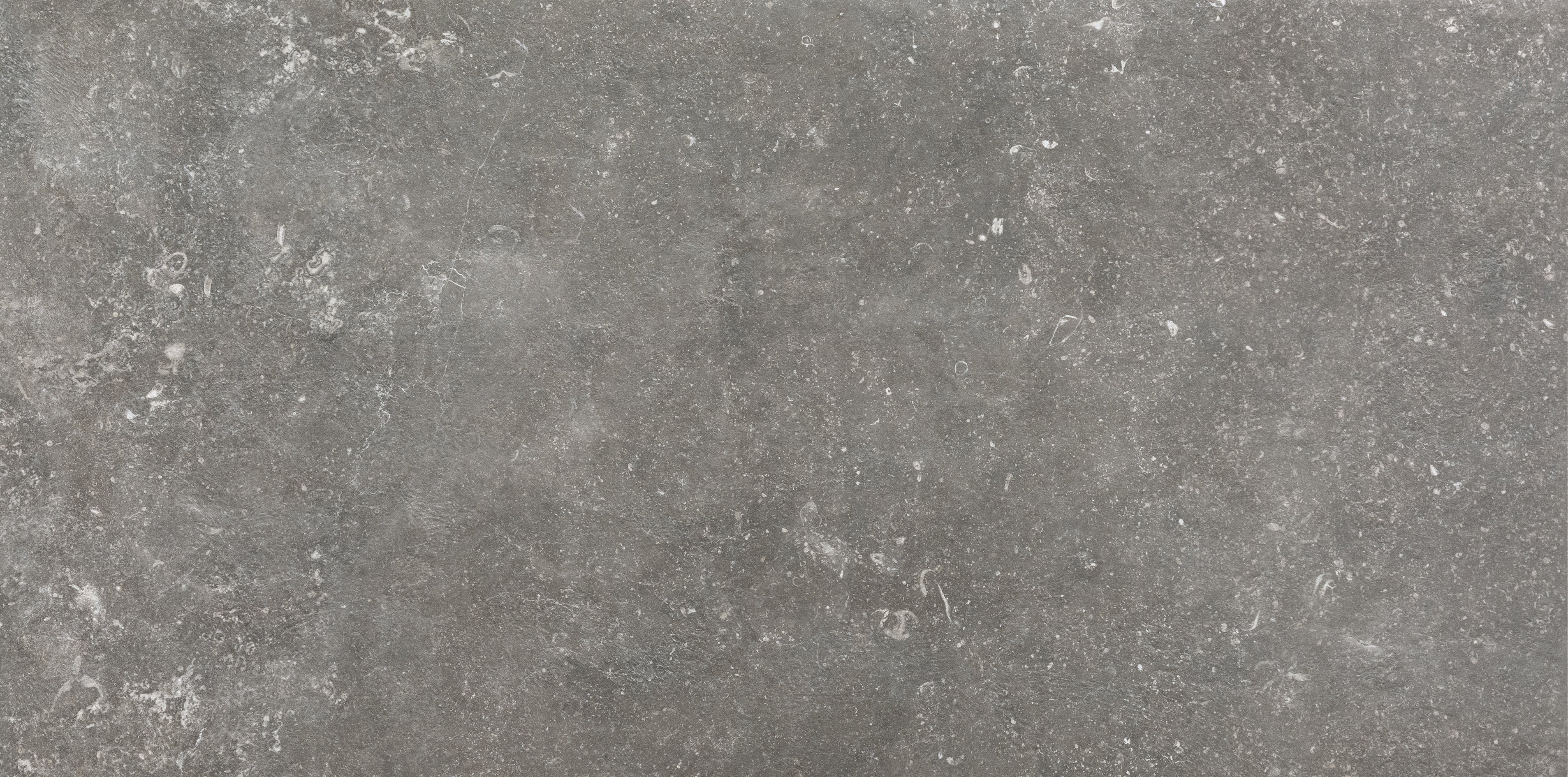 Florim Charme 60x120 cm - Matte — Uni, Charme