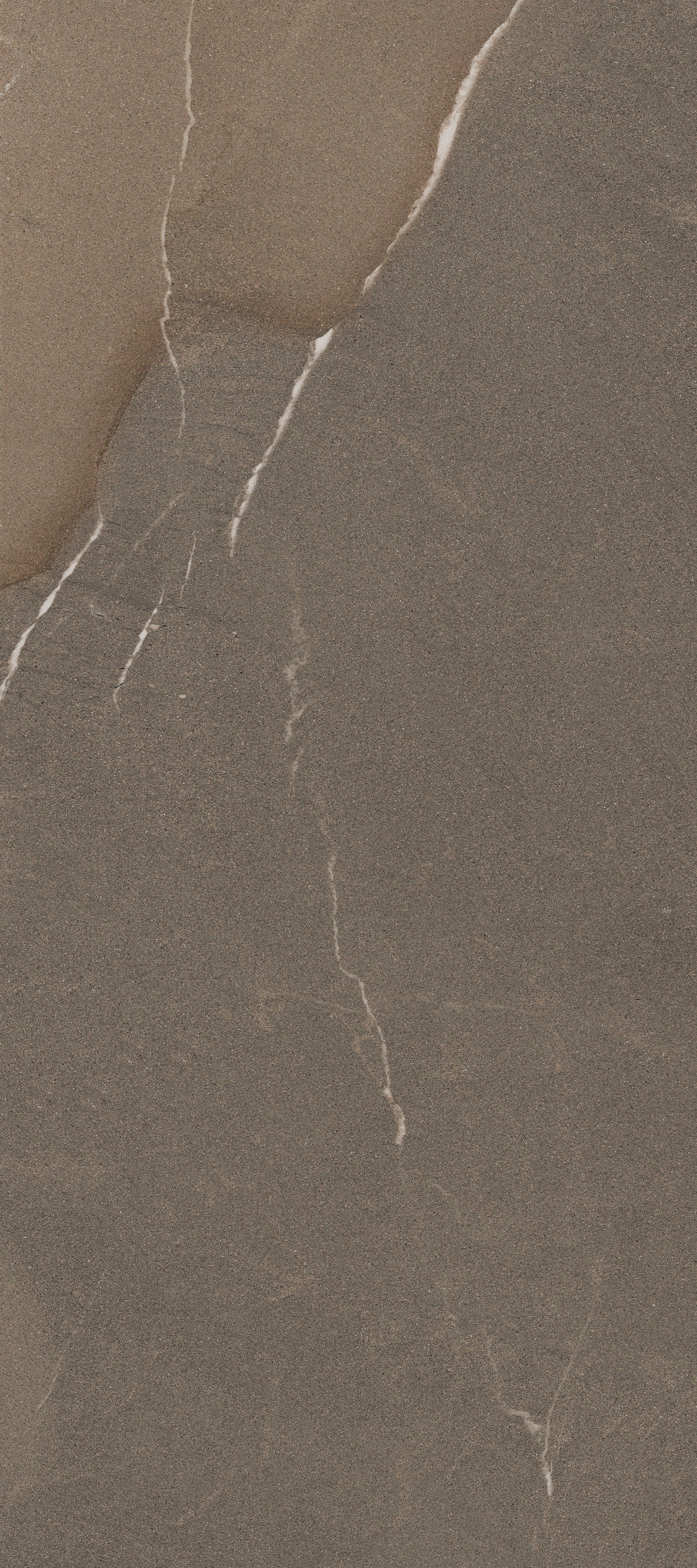 Color Flame Dark | Florim