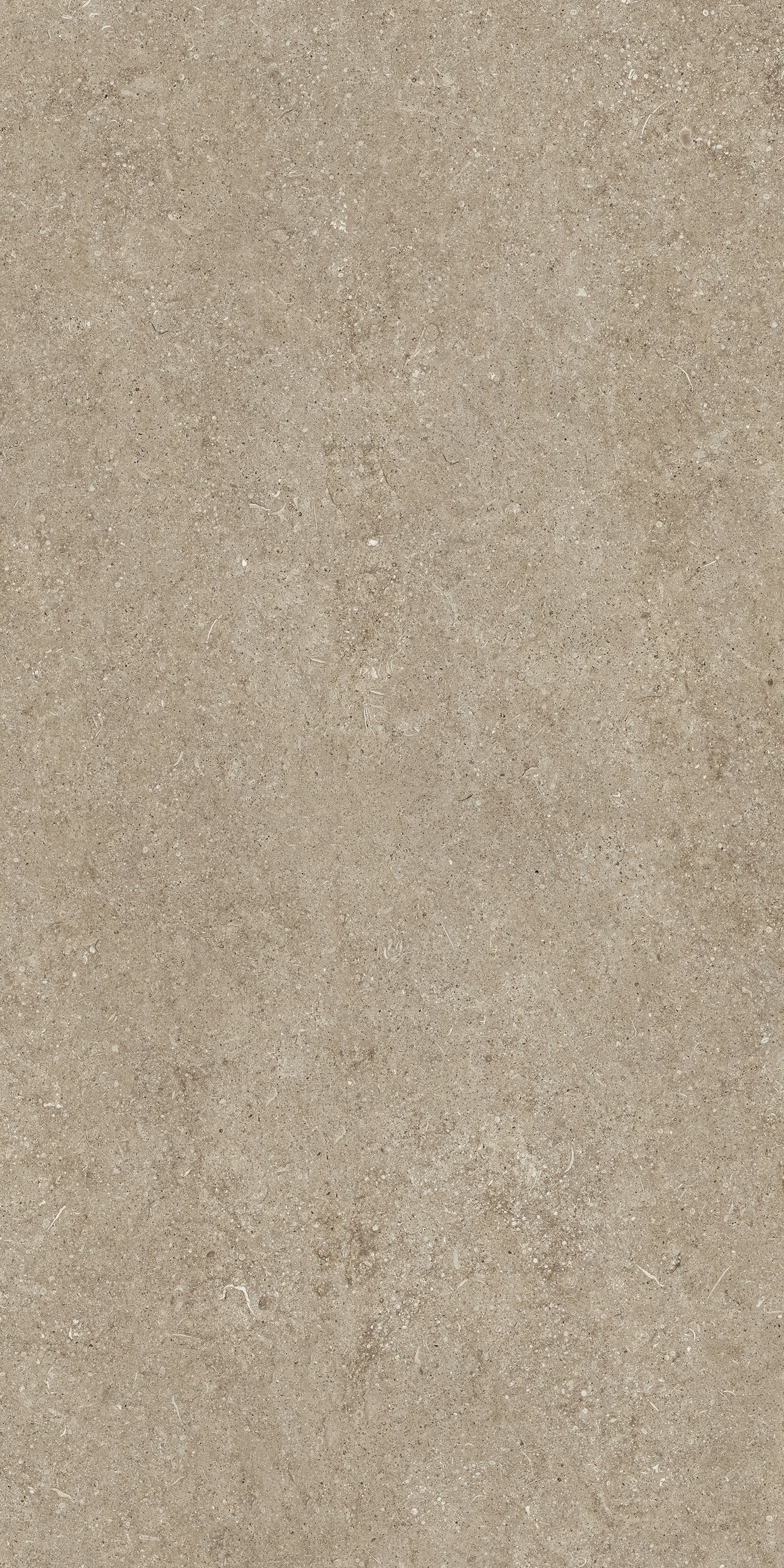 Florim Taupe Fossil 60x120 cm - Matte — Uni, Taupe Fossil