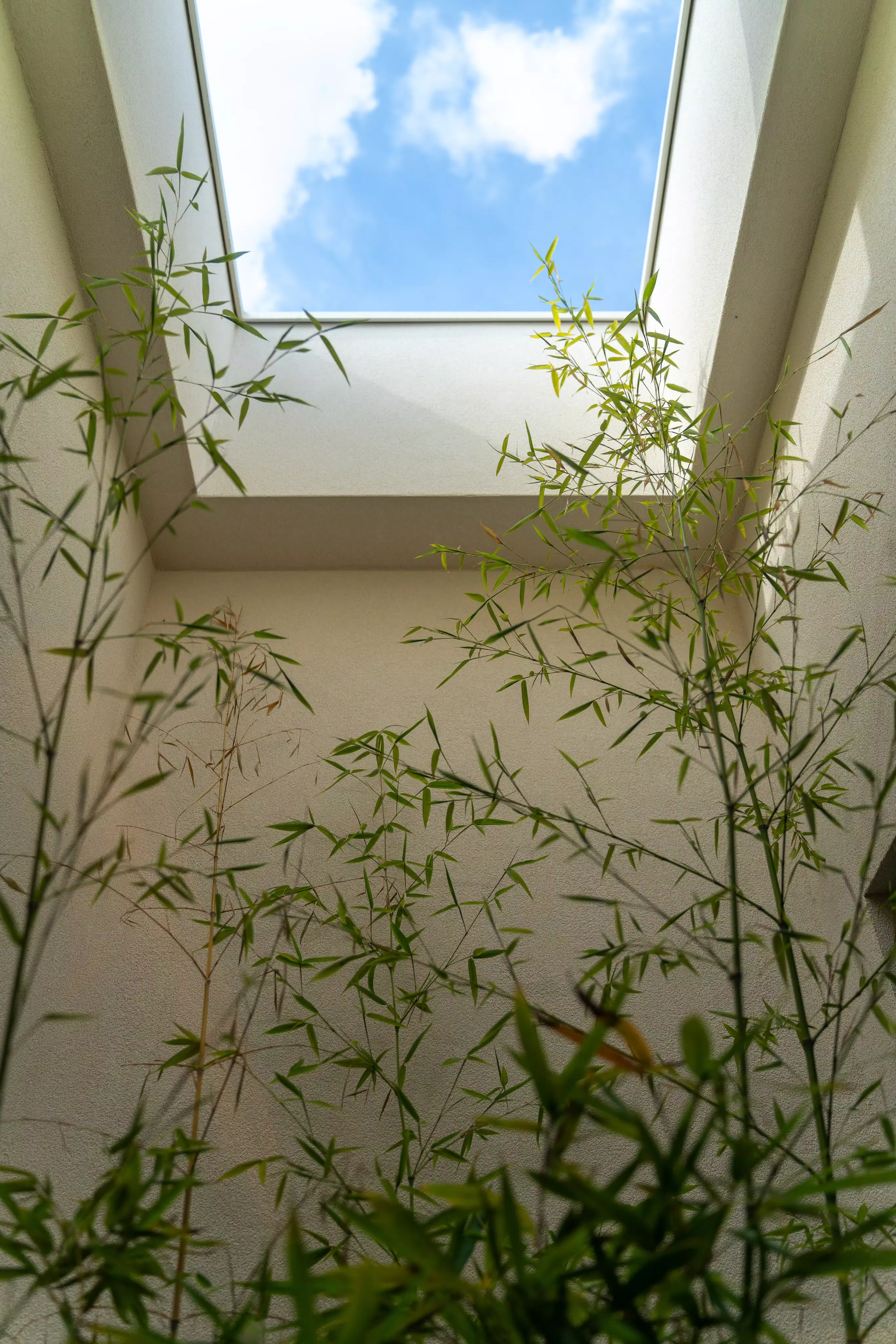 Progetto Neroniane_010 | Florim