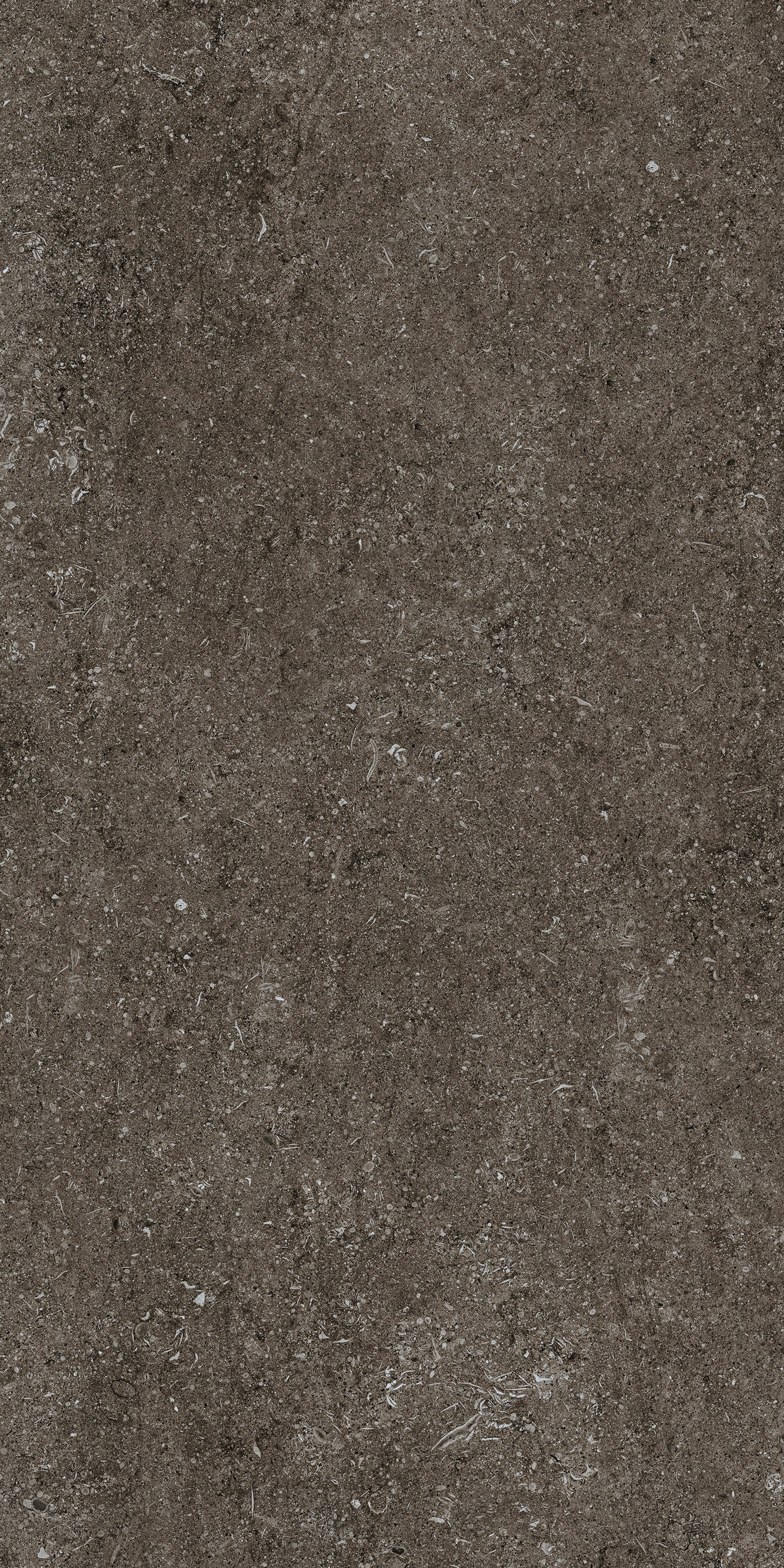 Florim Brown Fossil 60x120 cm - Matte PTV — Uni, Brown Fossil