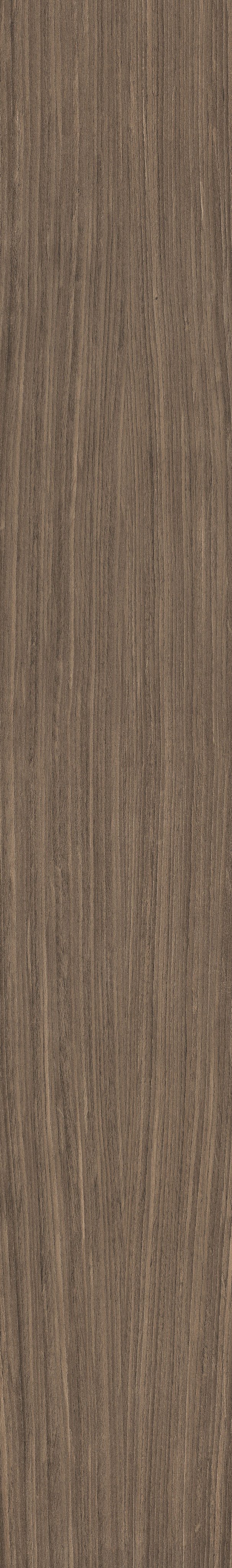 Florim Plank 02 265x180 cm - Matte PTV — Uni, Plank 02
