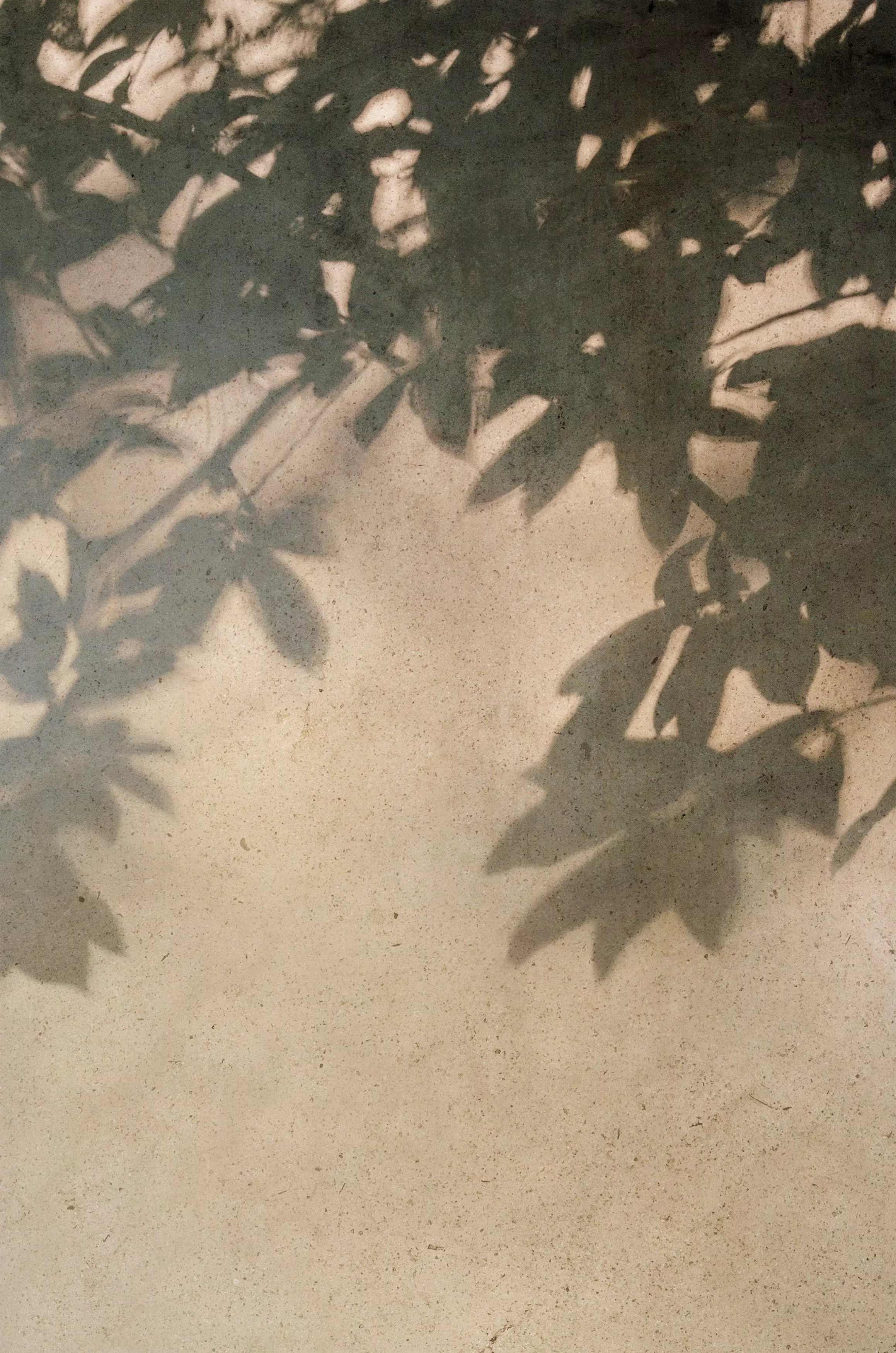 10.SENSI.dust.taupe | Florim