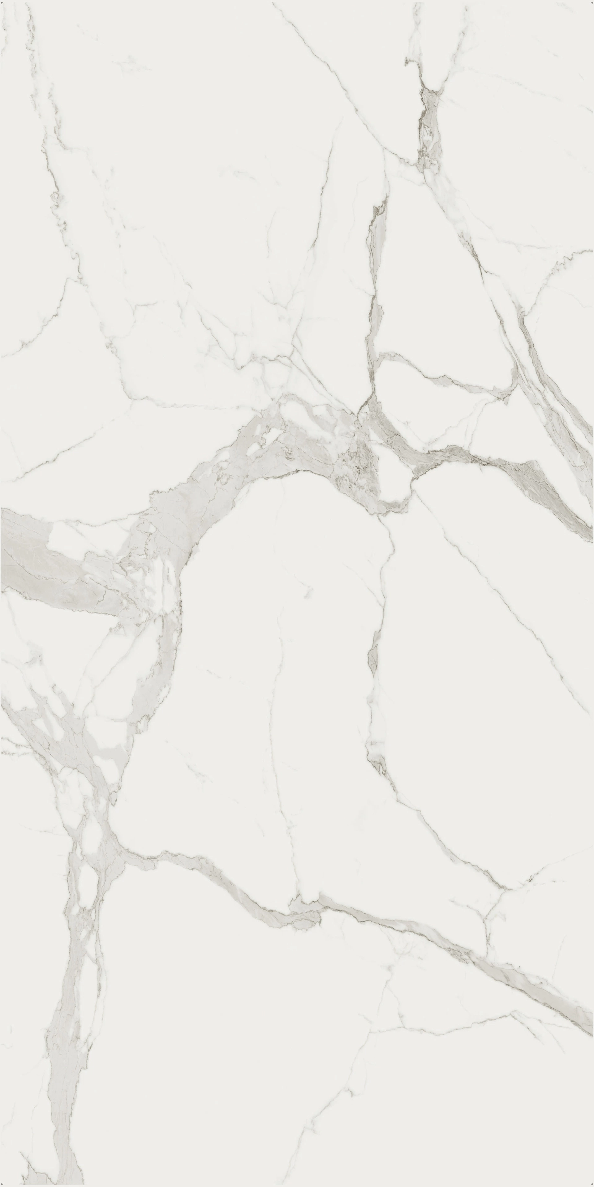 Marble Statuario B | Florim