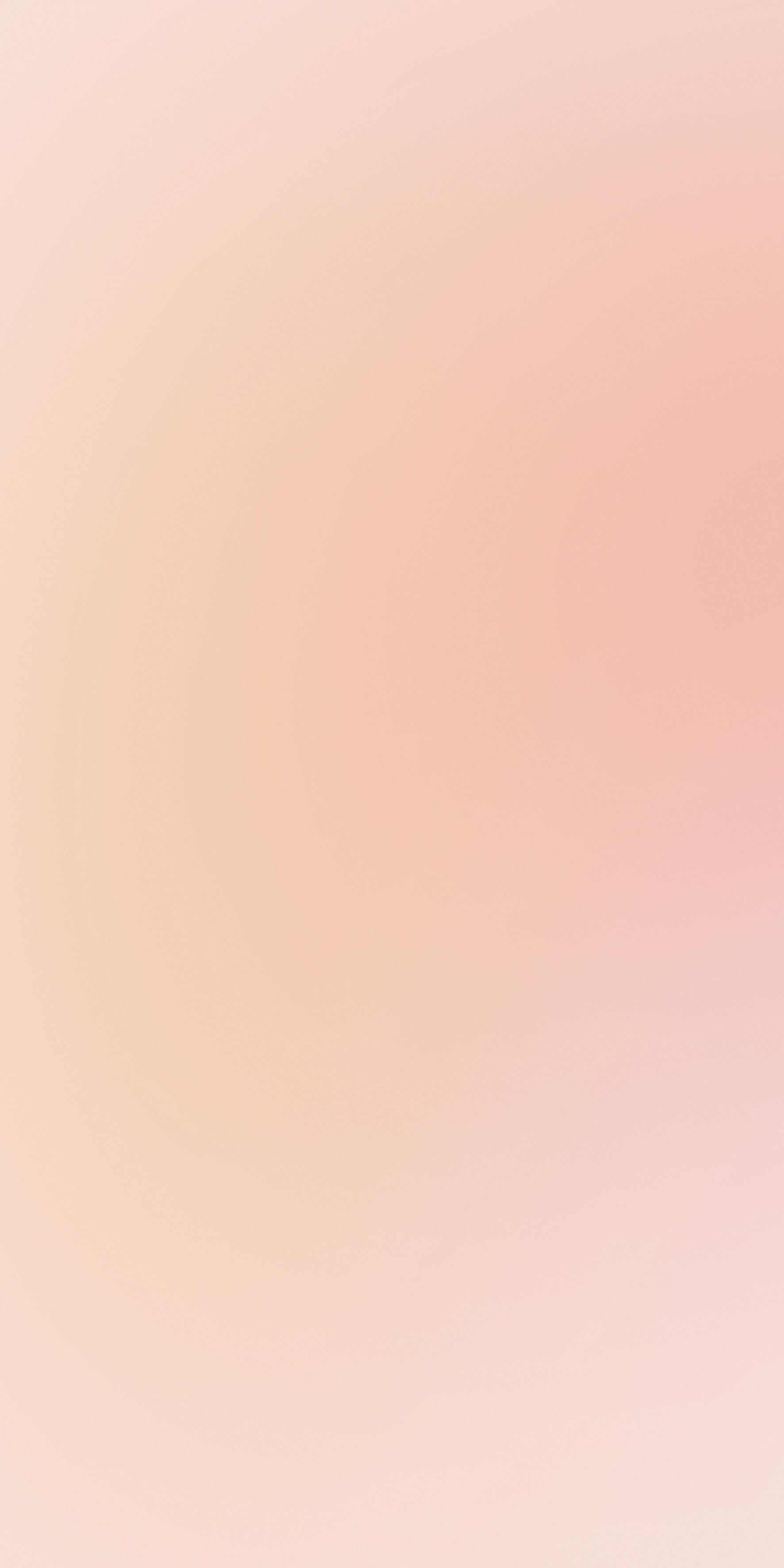 Florim Rosa 120x240 cm - Glossy — Uni, Rosa
