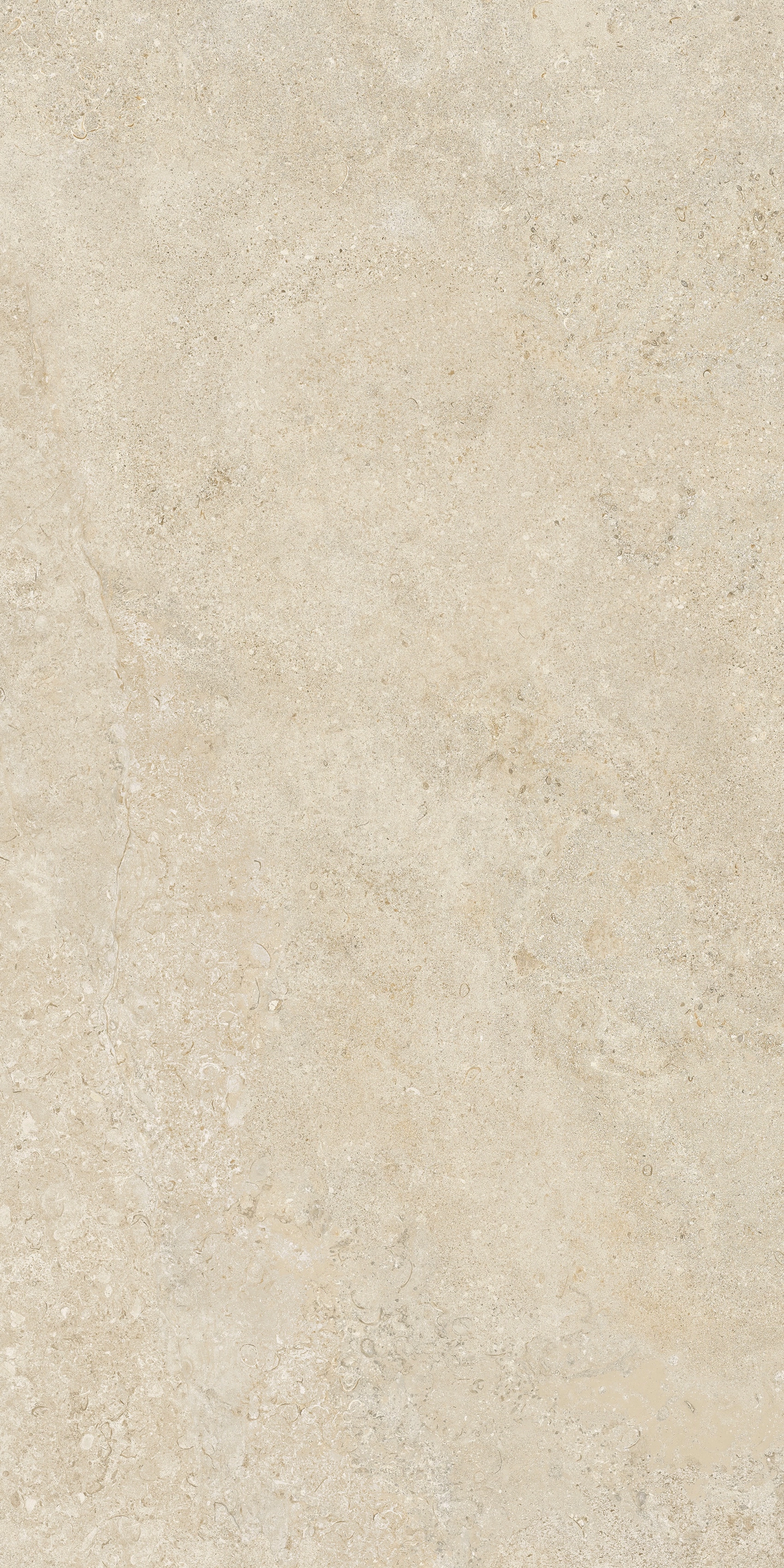 Champagne | Florim