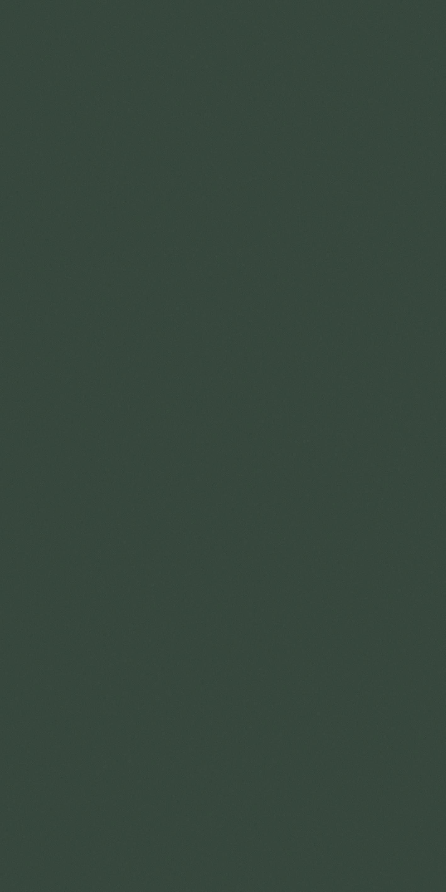 Florim Moss 120x240 cm - Matte — Uni, Moss