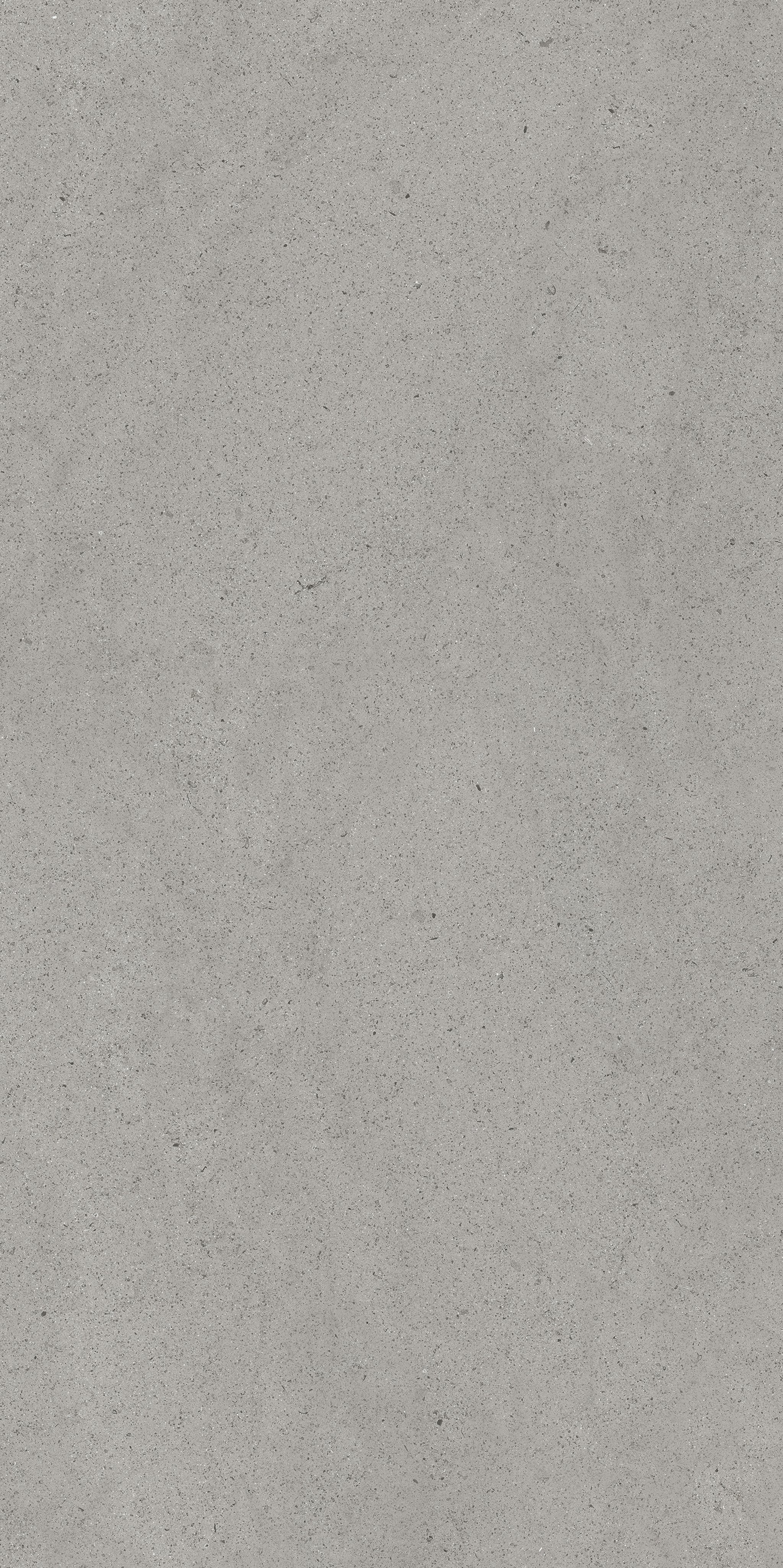 Florim Grey Dust 60x120 cm - Matte — Uni, Grey Dust