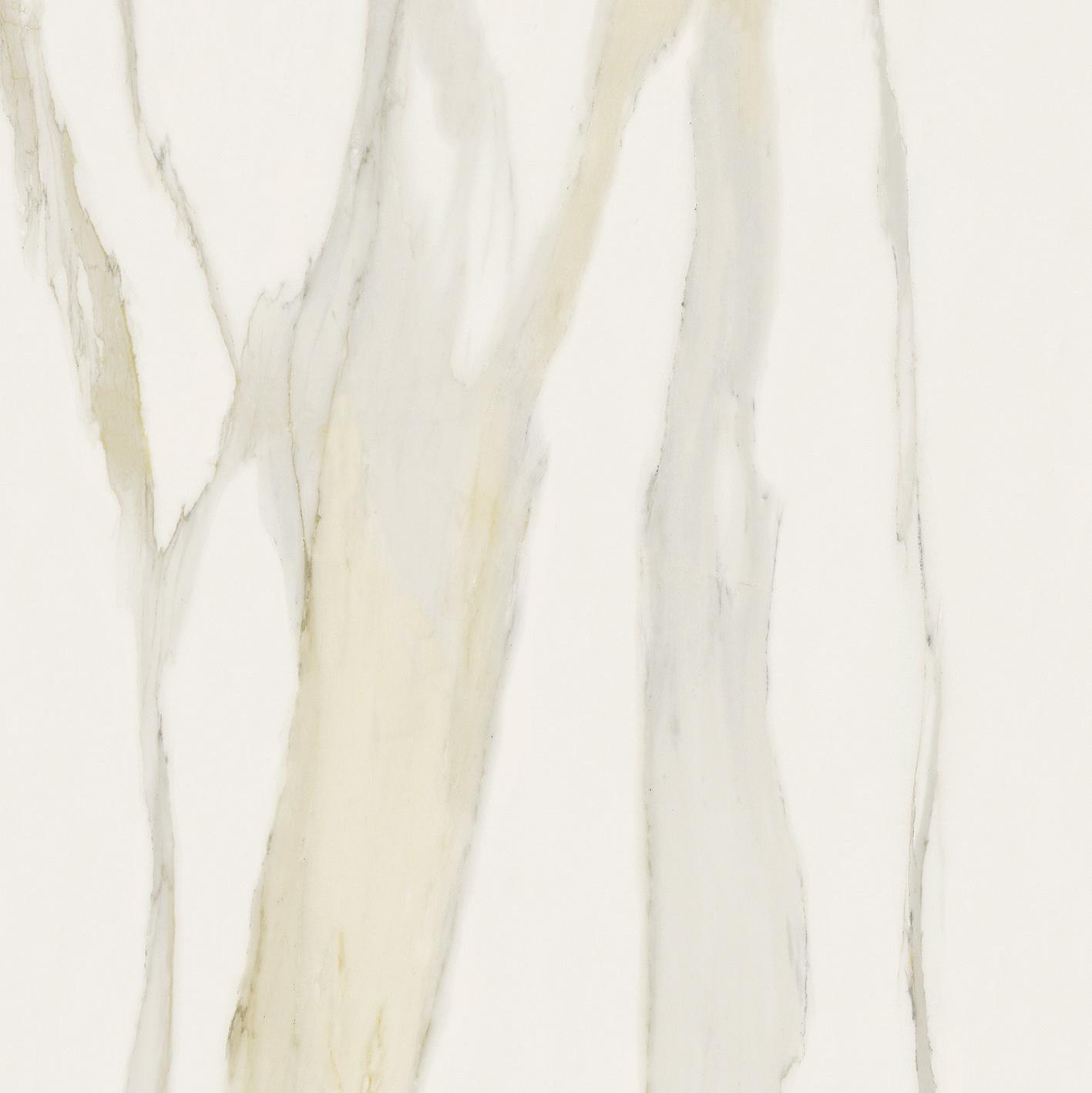 Florim Calacatta Gold 120x120 cm - Glossy — Uni, Calacatta Gold