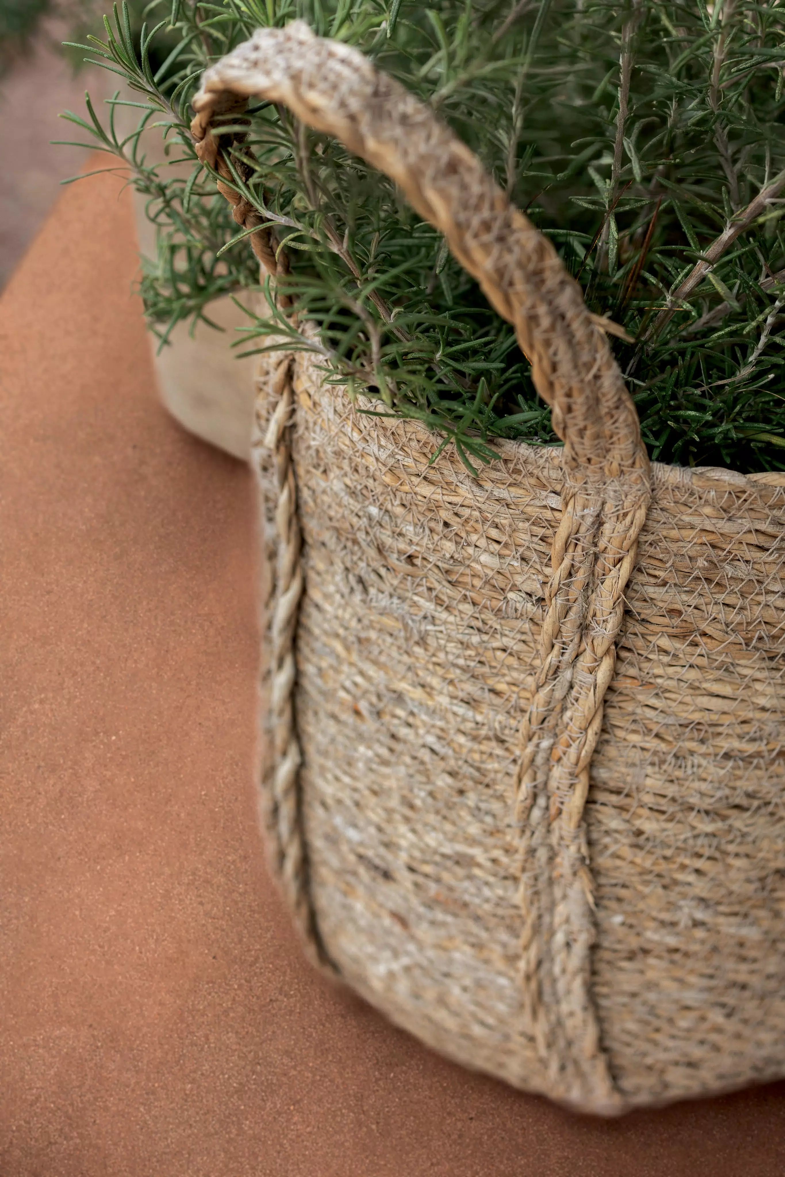 SensiTerre ambiente 38 | Florim