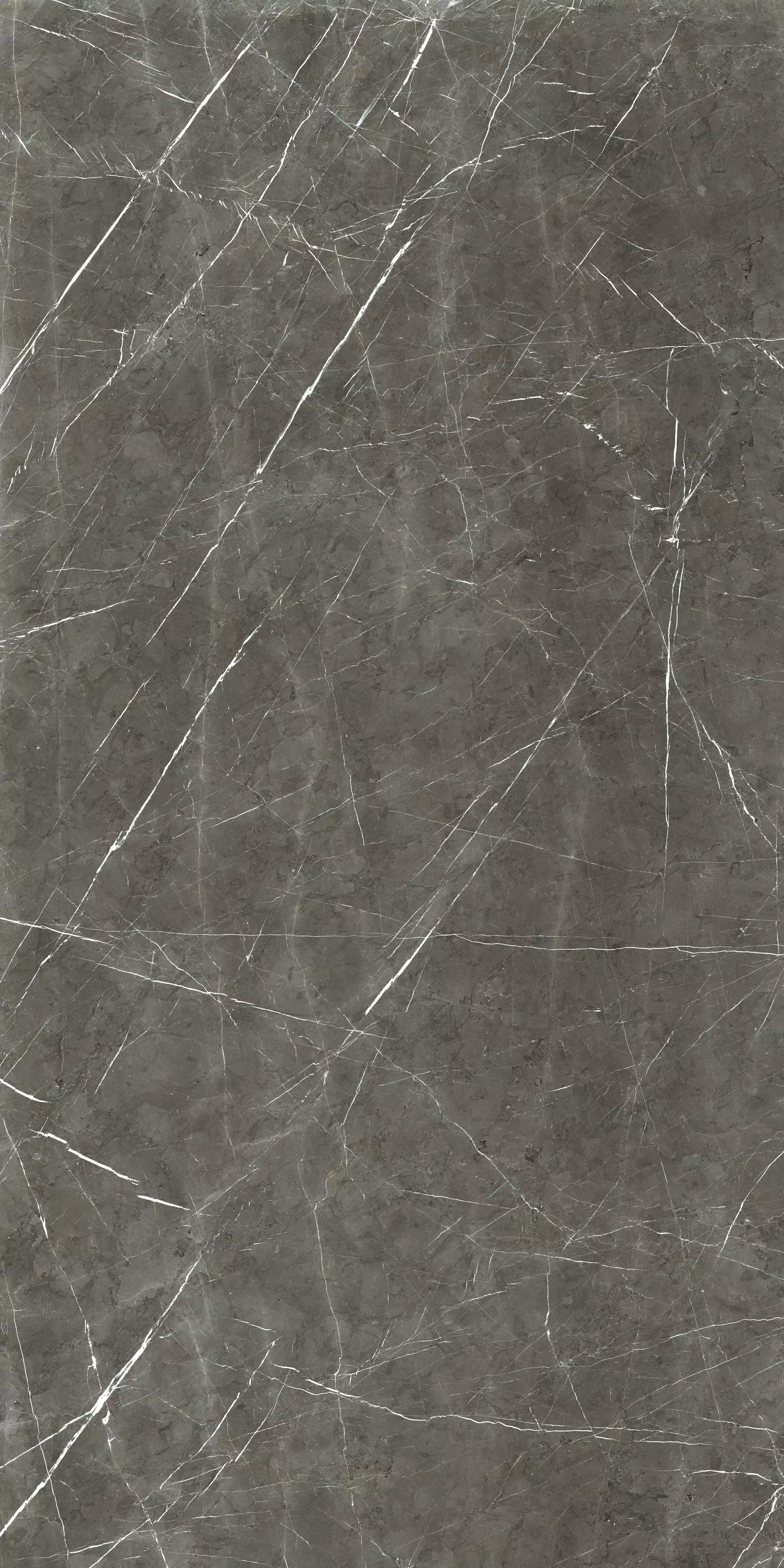Marble Marble Gray** 160X320 Glossy - 759749 | Florim