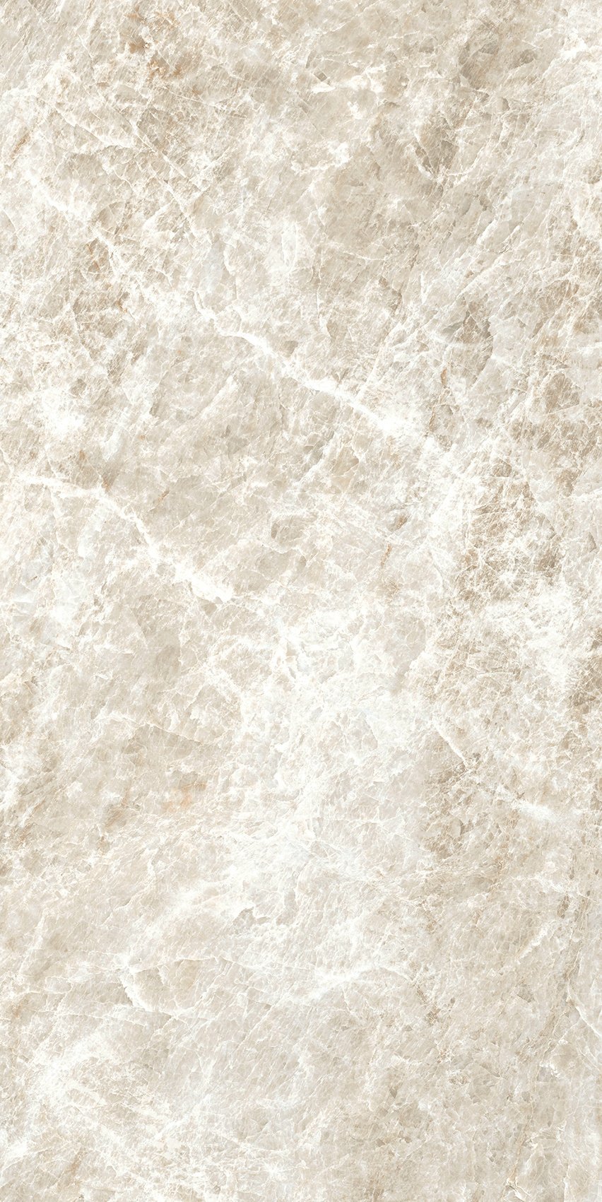 honyページ 784529_12.jpg