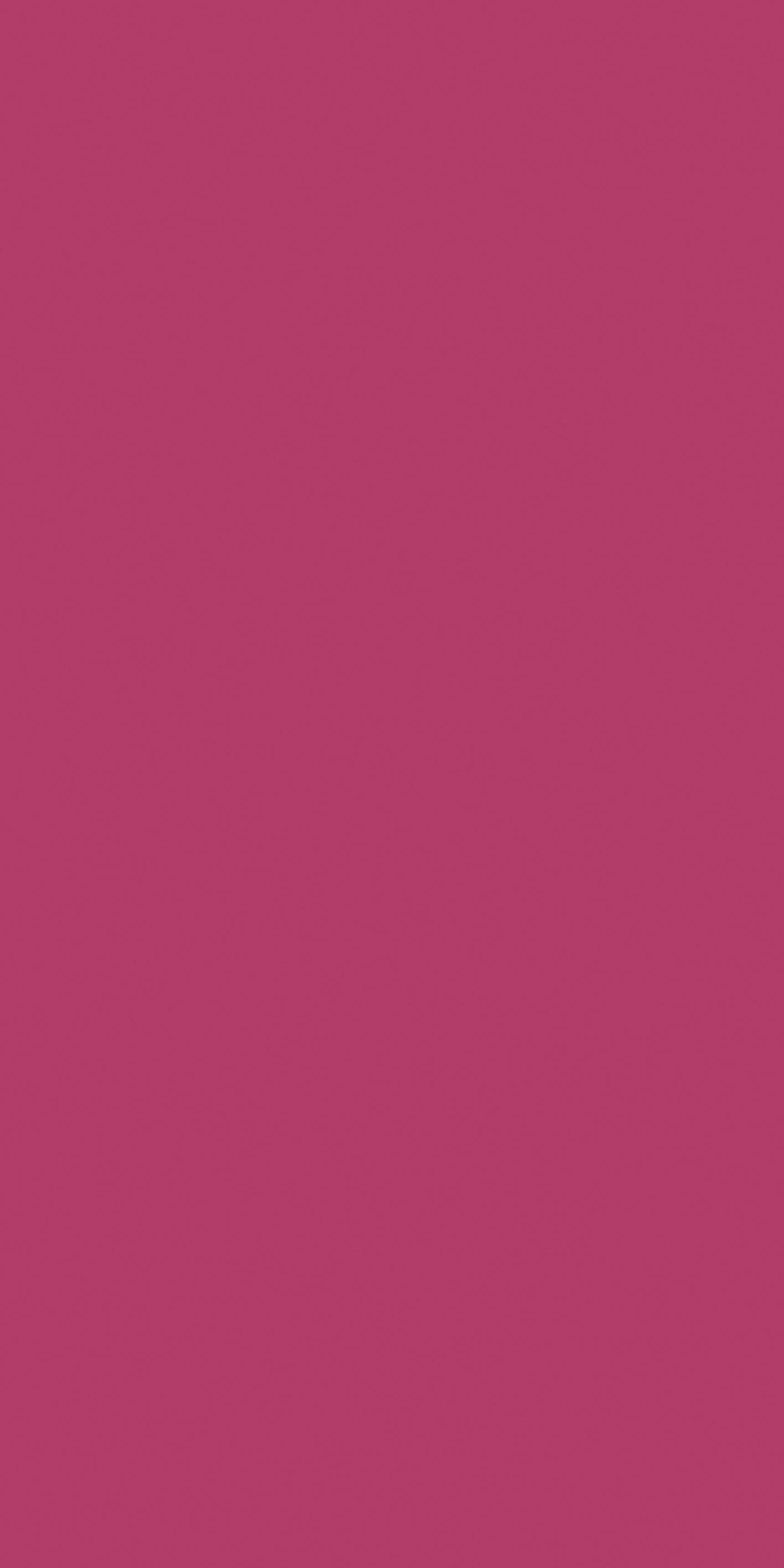 Florim Fuchsia 120x240 cm - Matte — Uni, Fuchsia