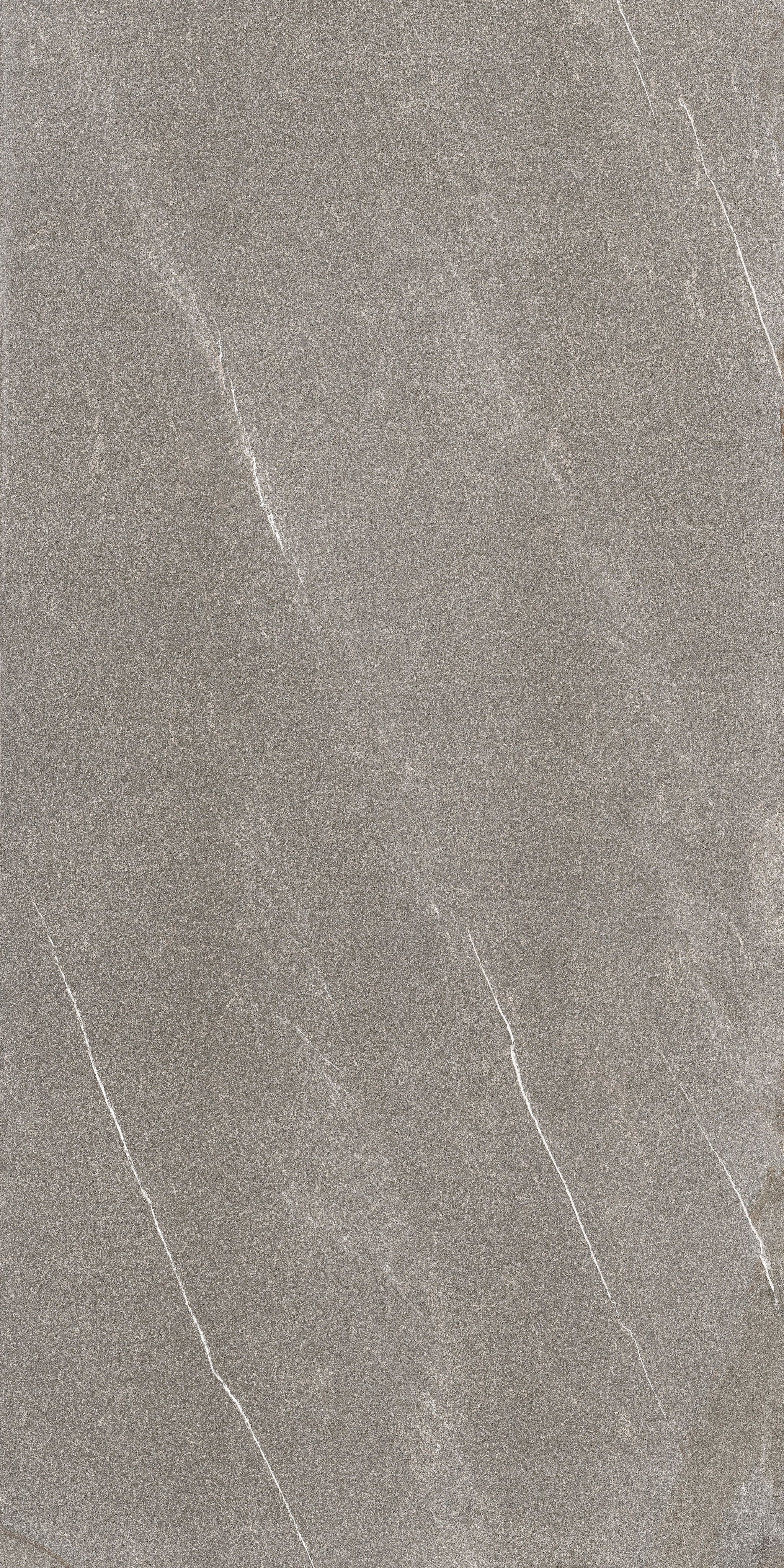 778911_04.jpg