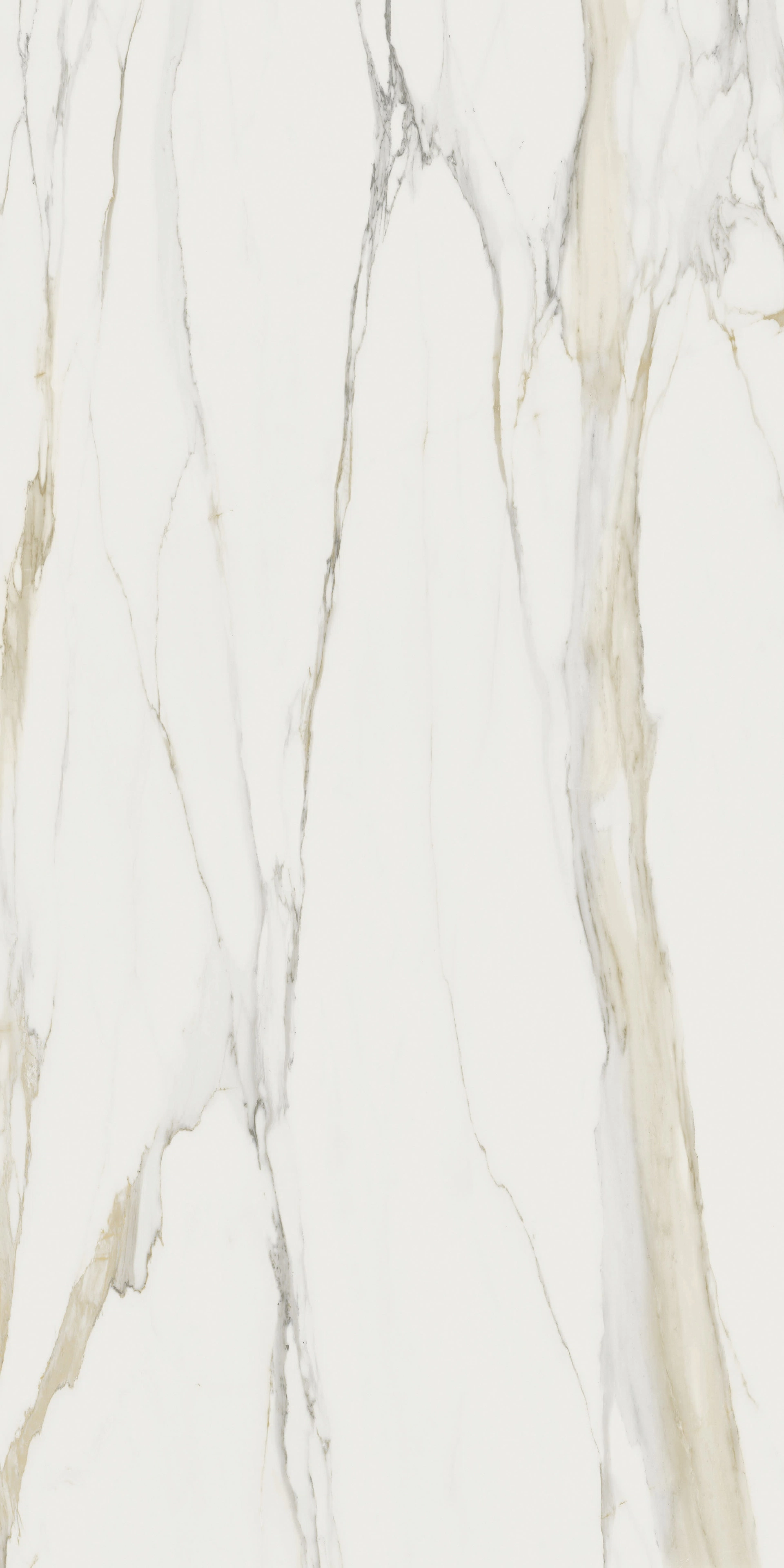 Marble Calacatta Gold B | Florim