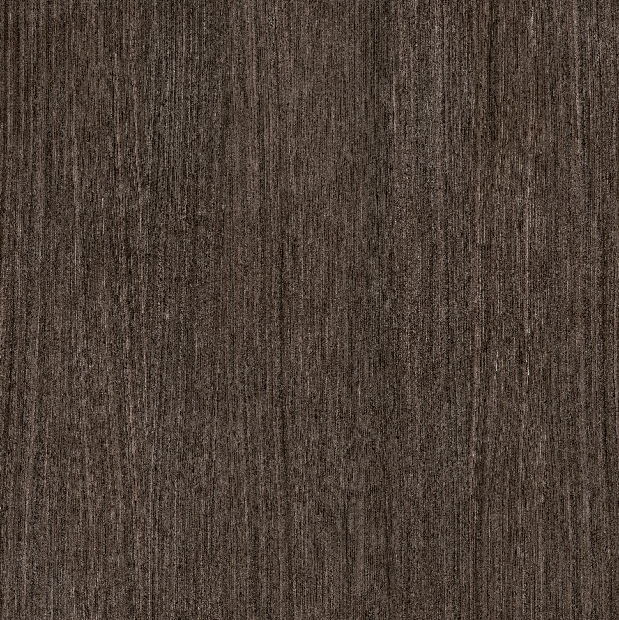 Florim Plank 03 120x120 cm - Matte PTV — Uni, Plank 03