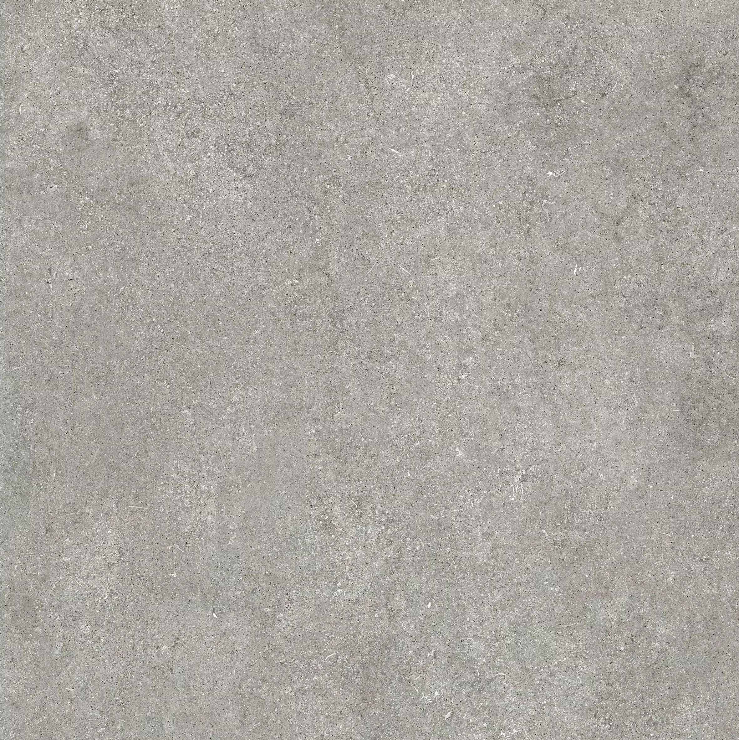 Sensi Grey Fossil 120X120 Matte - 768556 | Florim
