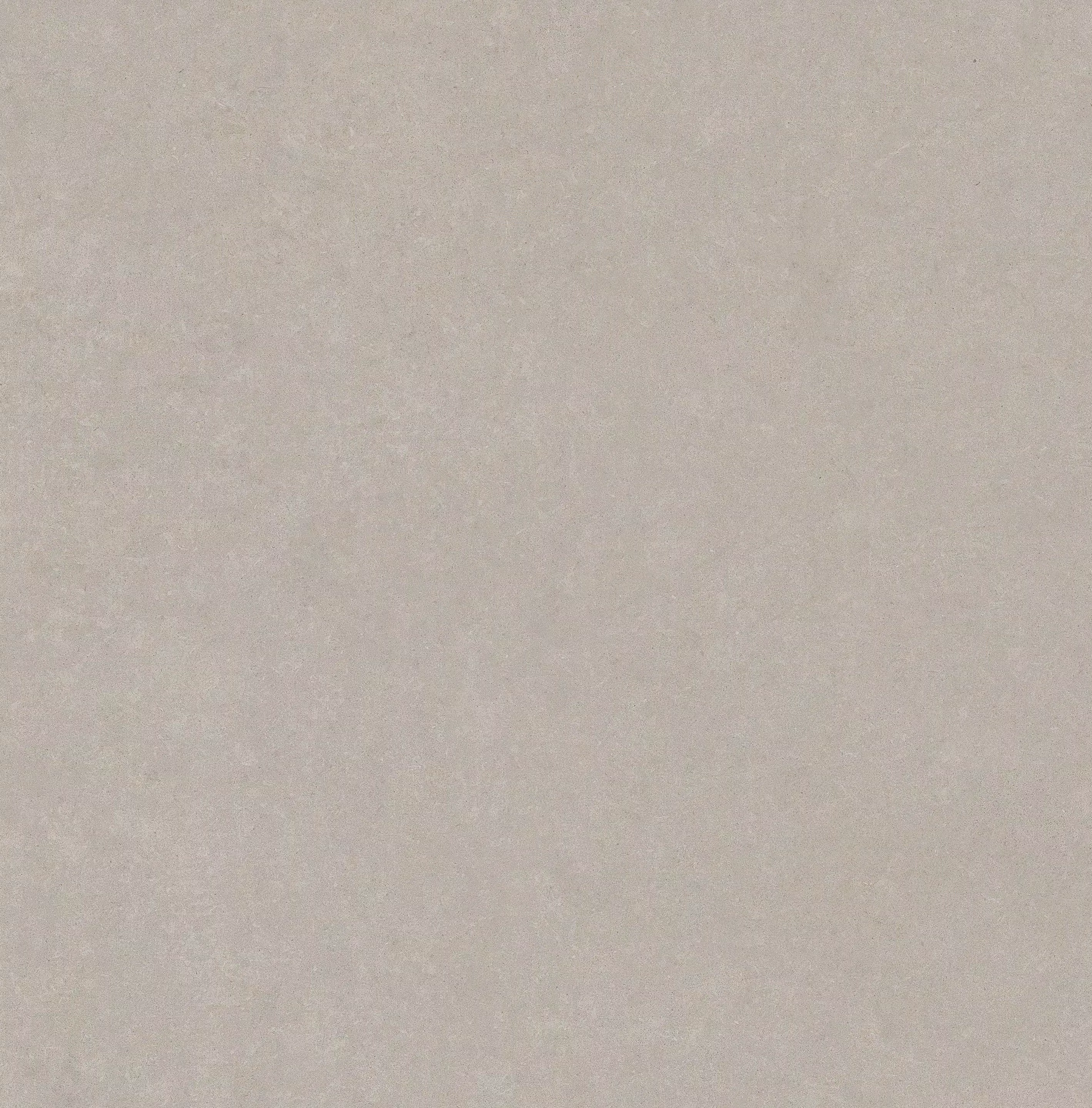 Elemental Stone Grey Sandstone 60X60 Lucida - 766954 | Florim