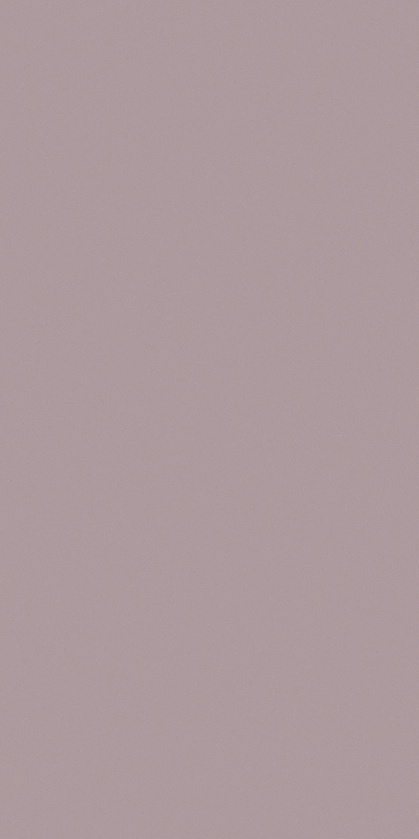 Florim Primrose 120x240 cm - Matte — Uni, Primrose