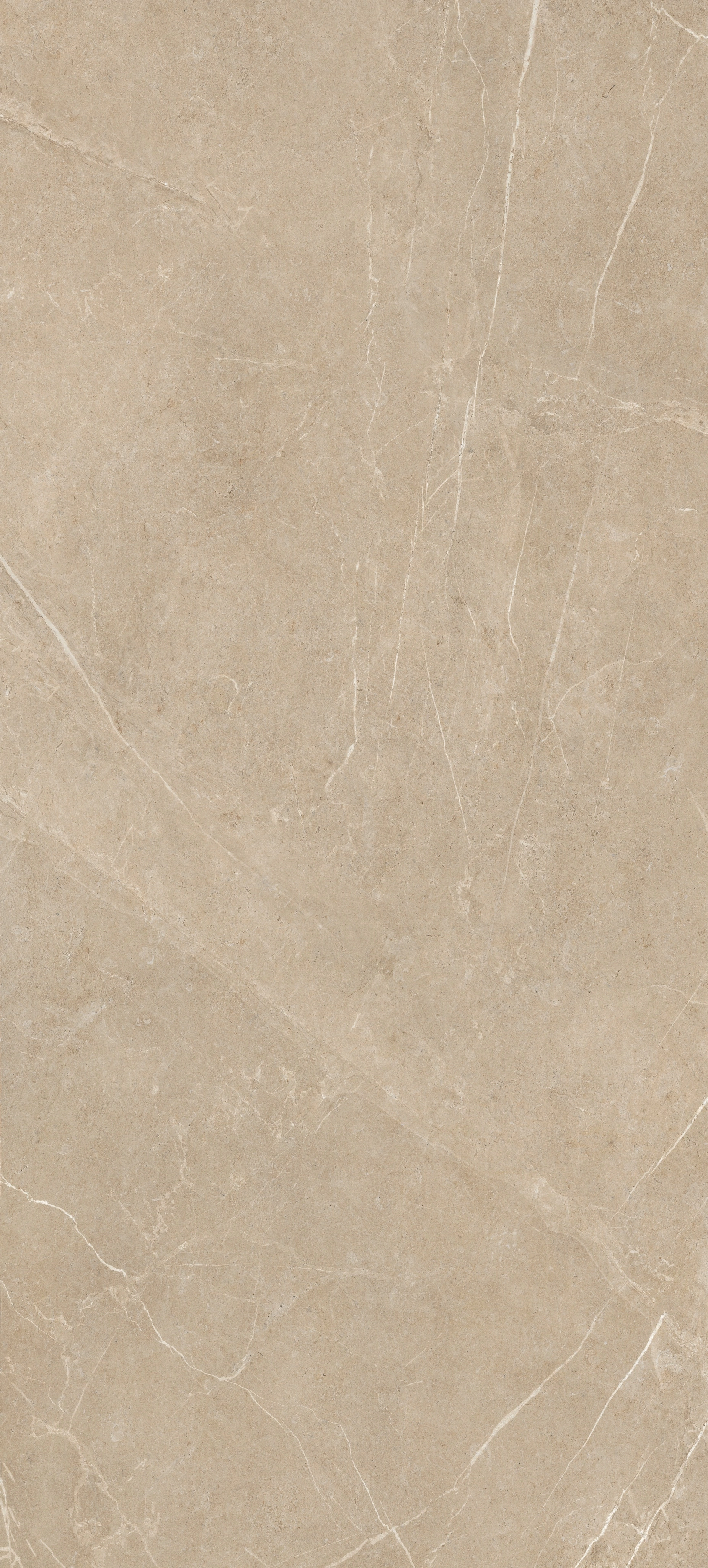 Muted Sand | Florim