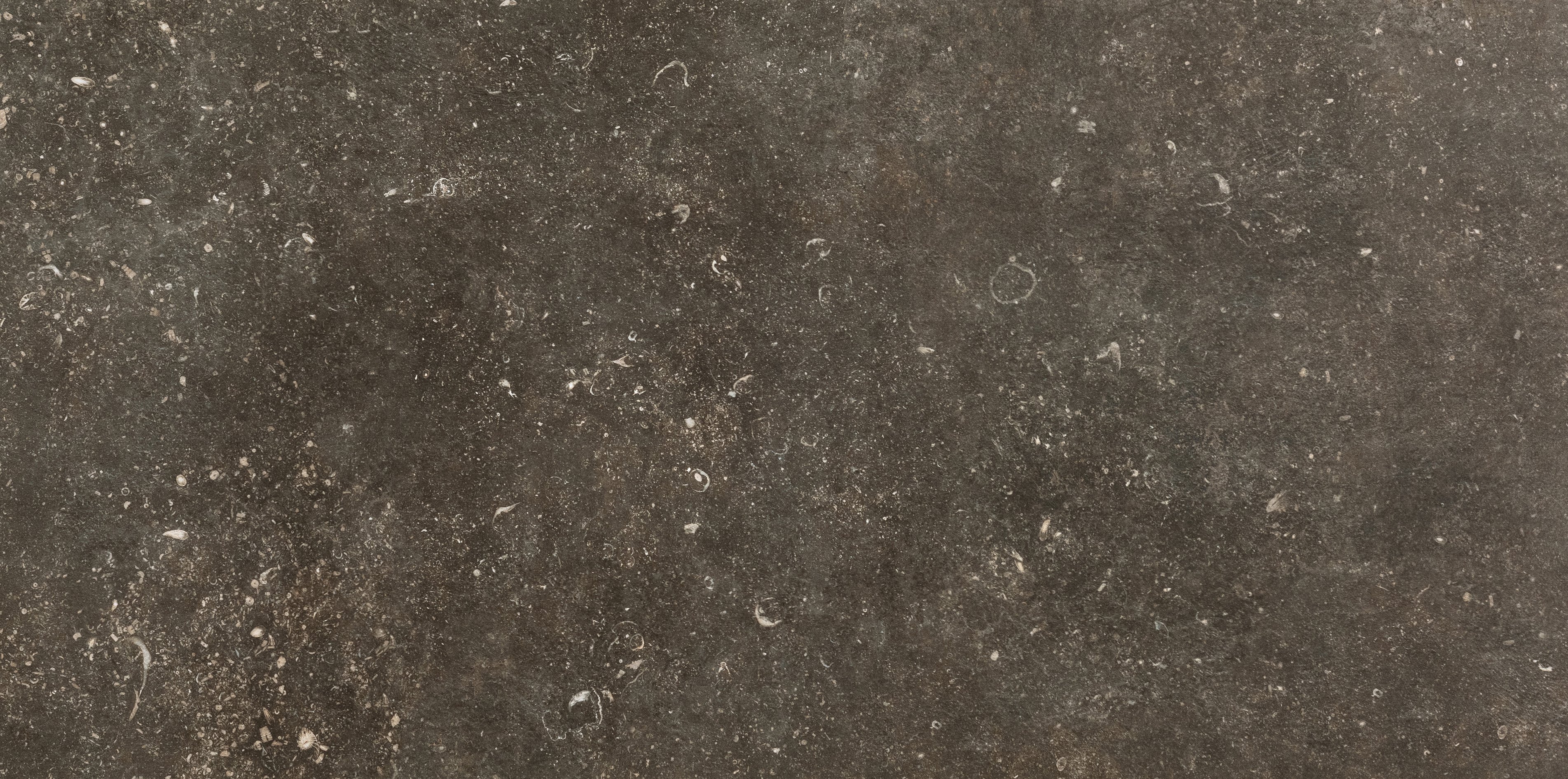 Florim Désir 60x120 cm - Matte — Uni, Désir