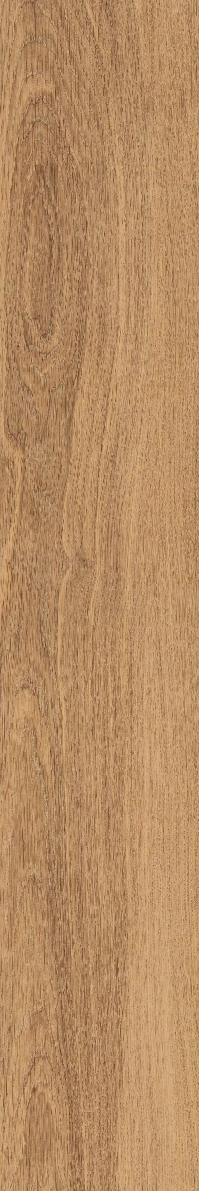 Rustic Oak | Florim