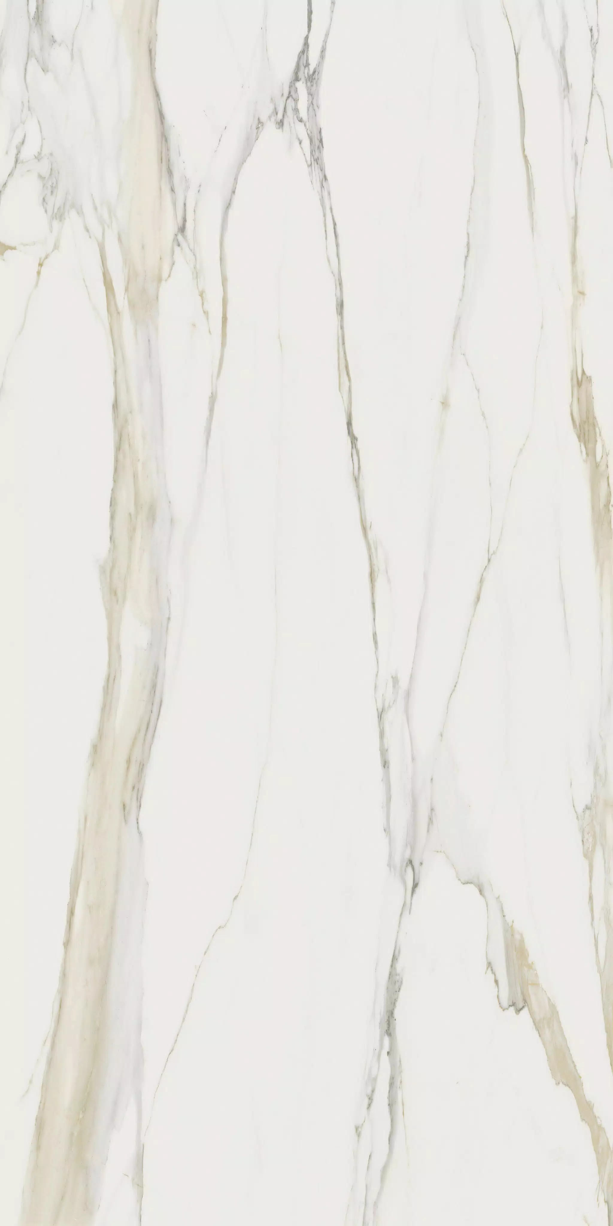 Marble marble calacatta gold a 160X320 glossy - 751348 | Florim