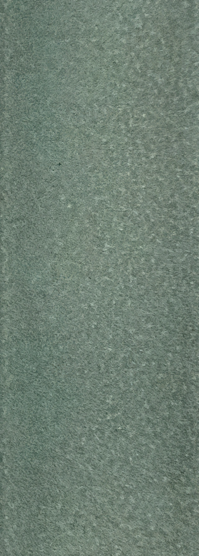 Tonalia Eucalipto Lineare 7x28 Glossy 9 mm - 794270 | Florim