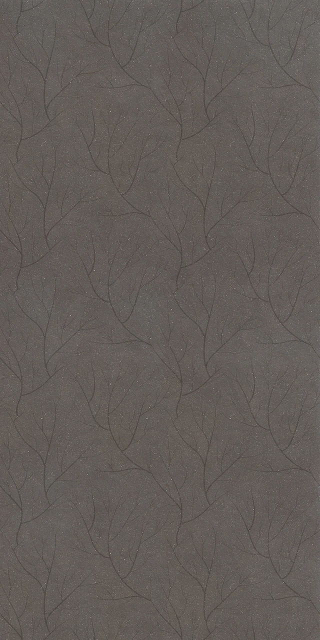 Earthtech Carbon_Ground 120X240 Comfort 772731 | Florim