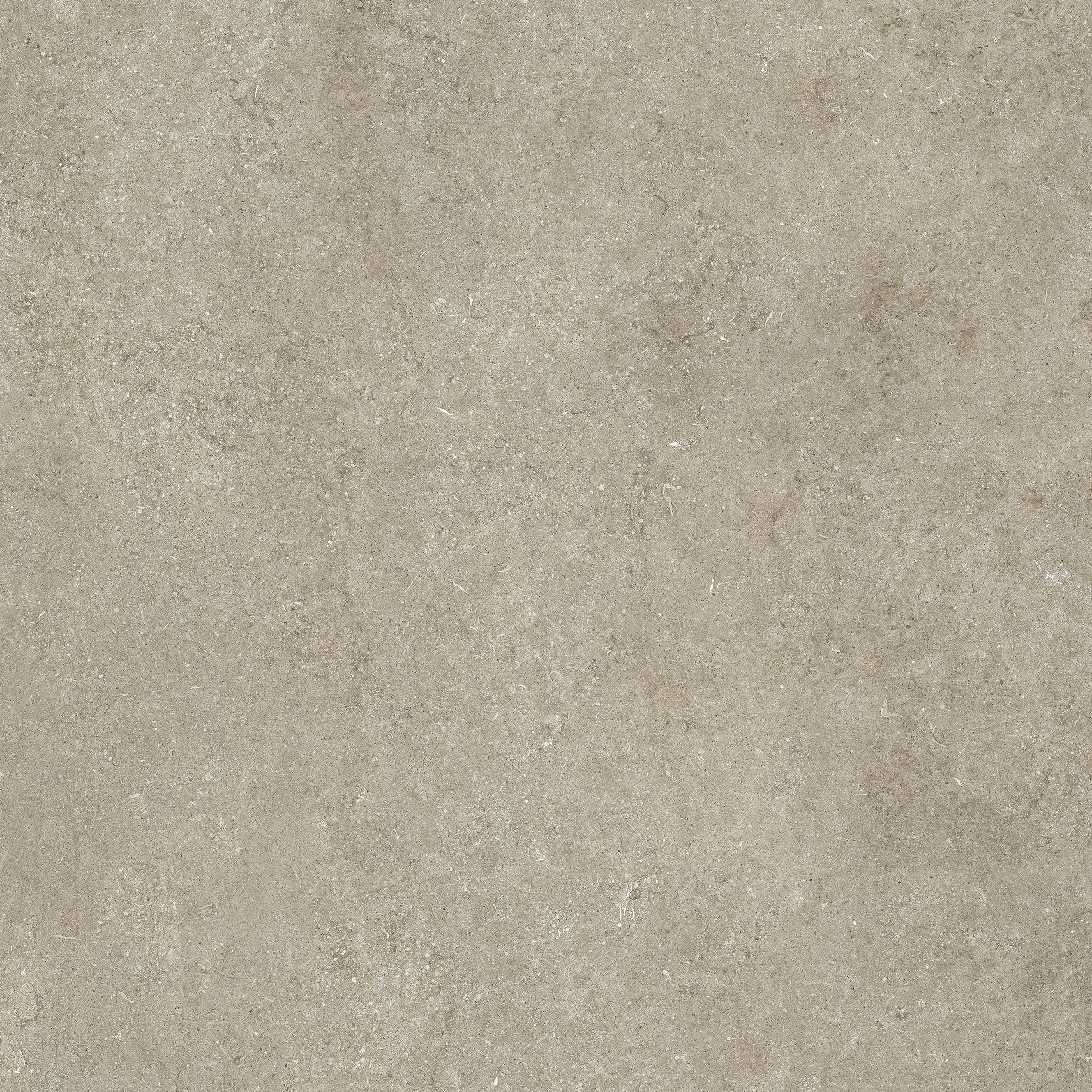 Color Ivory Fossil | Florim