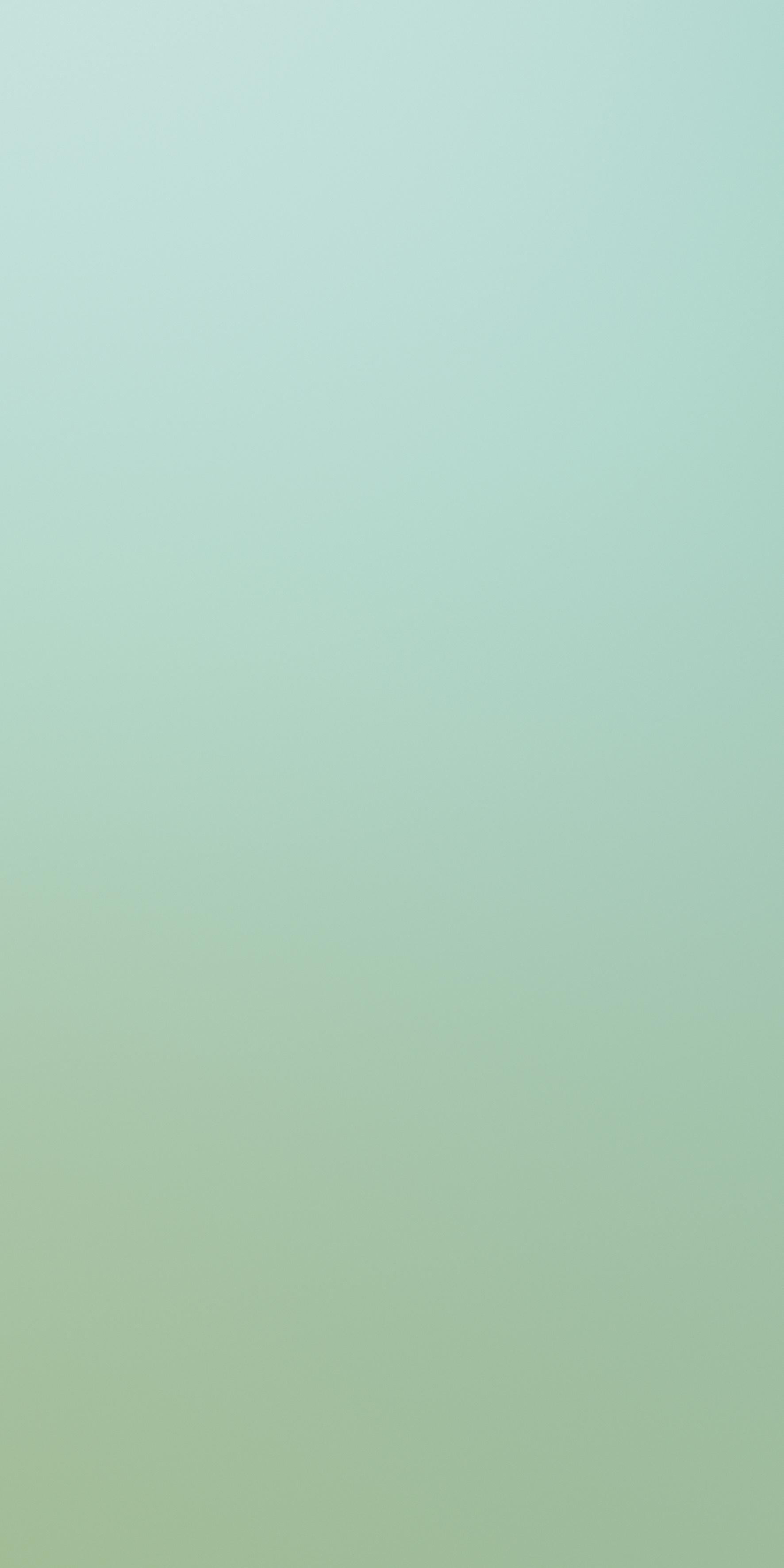 Florim Verde 120x240 cm - Matte — Uni, Verde