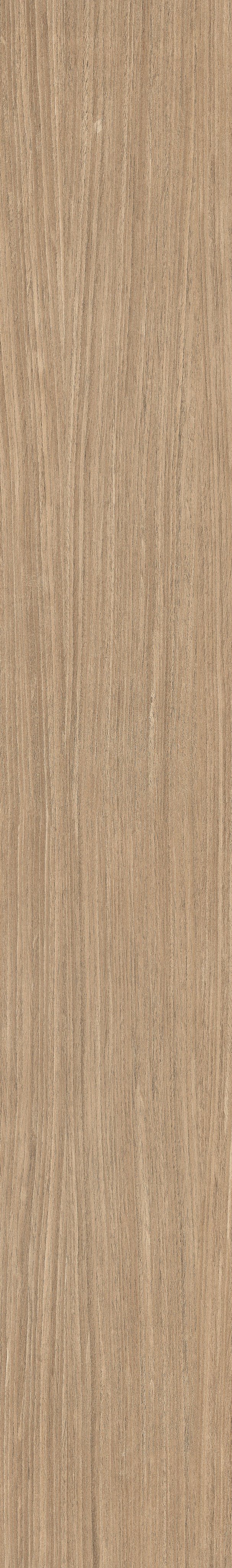 Florim Plank 01 265x180 cm - Matte PTV — Uni, Plank 01