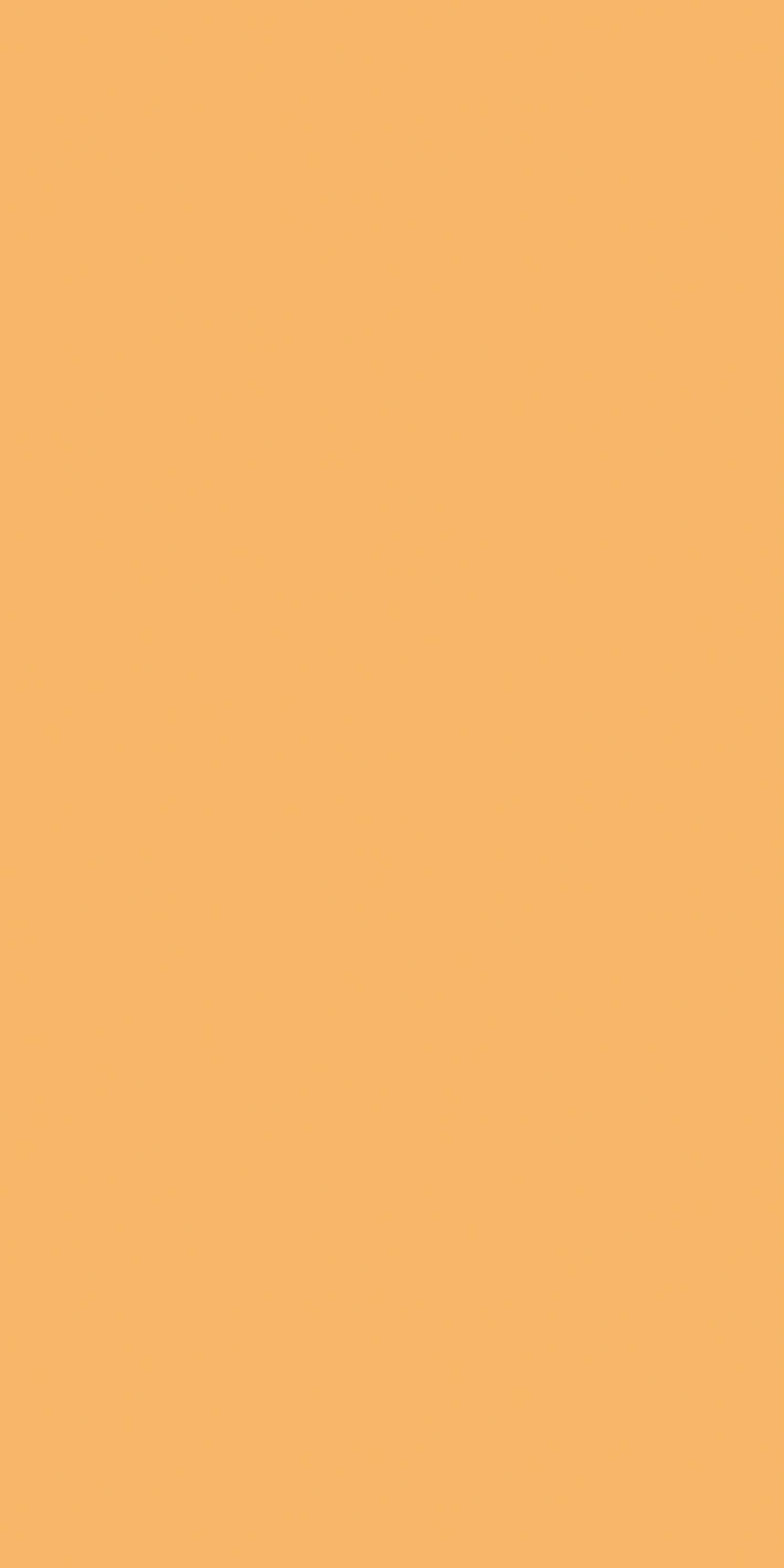 Florim Cream 120x240 cm - Glossy — Uni, Cream