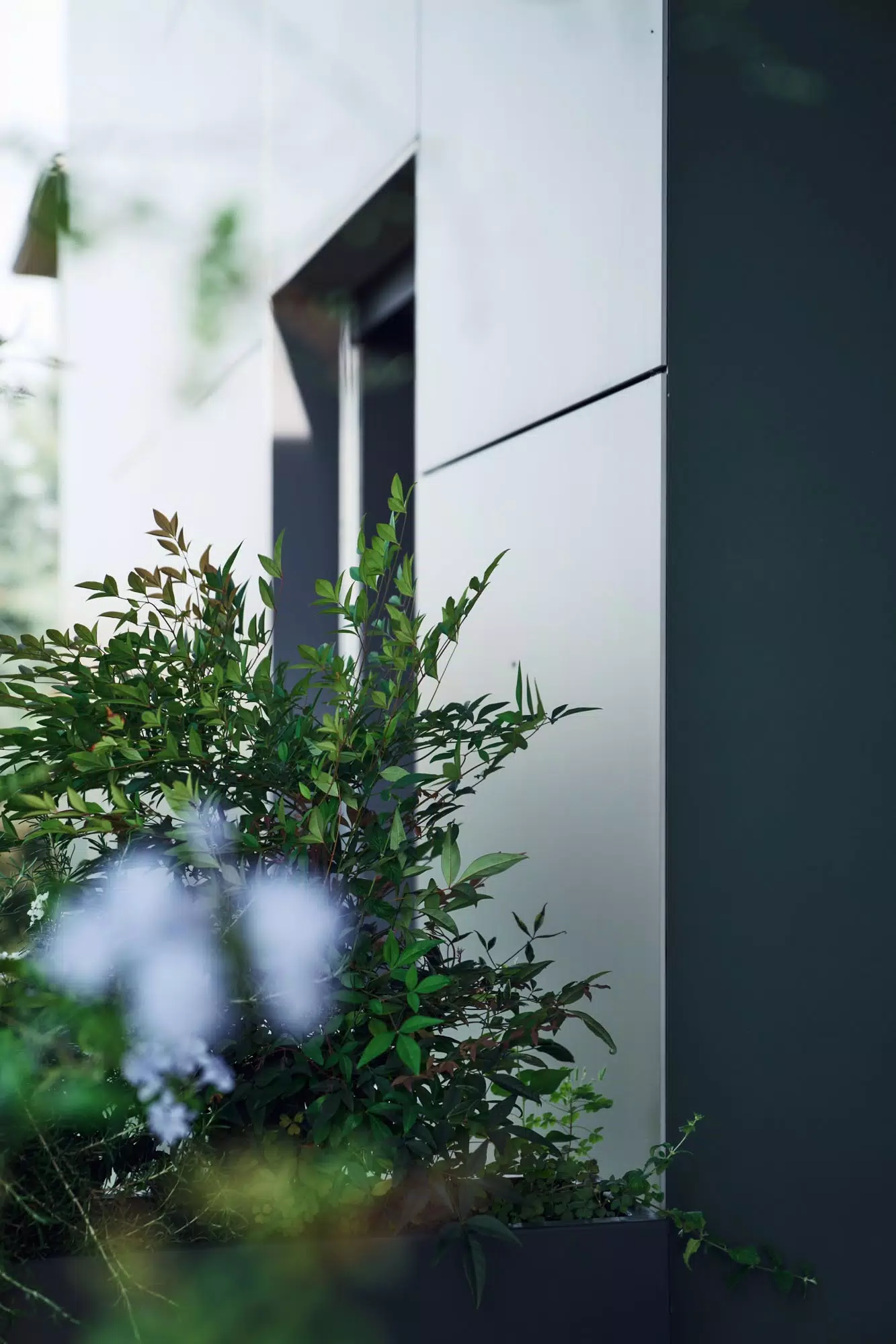 Progetto verdeluce-16 | Florim