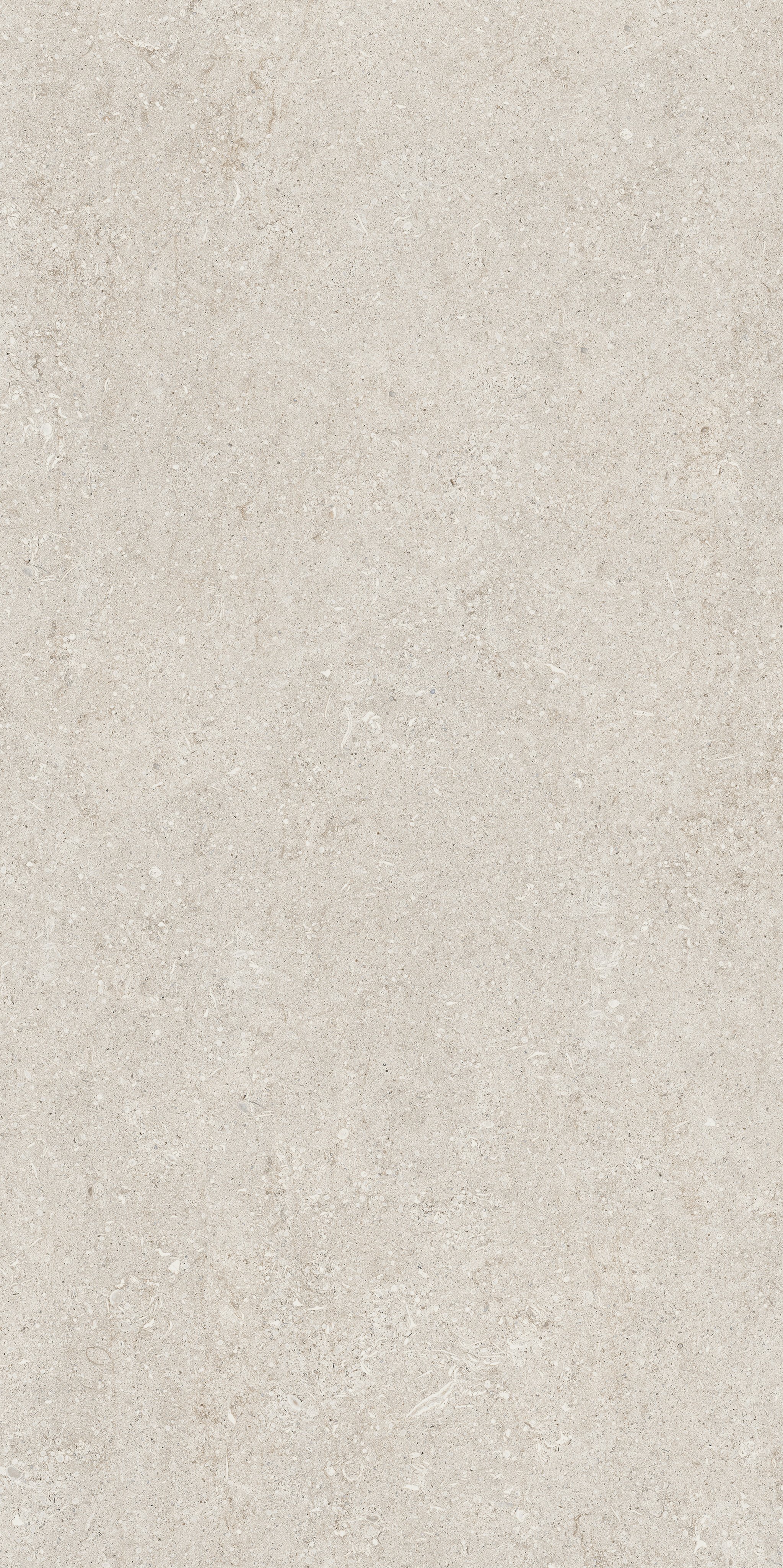 Florim White Fossil 60x120 cm - Matte PTV — Uni, White Fossil