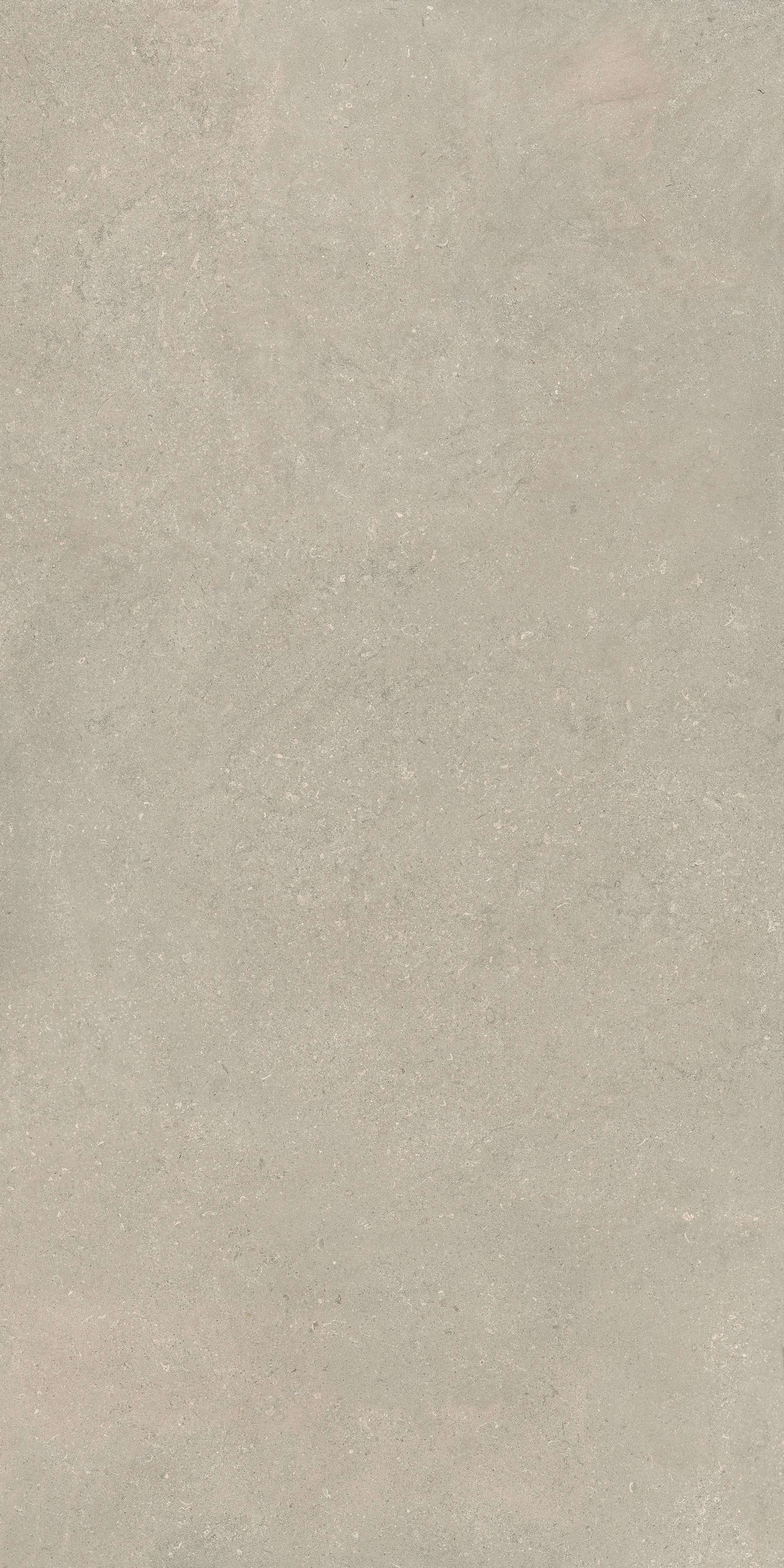 Florim Stone Chablis 160x320 cm - Matte Leather — Pierre, Stone Chablis