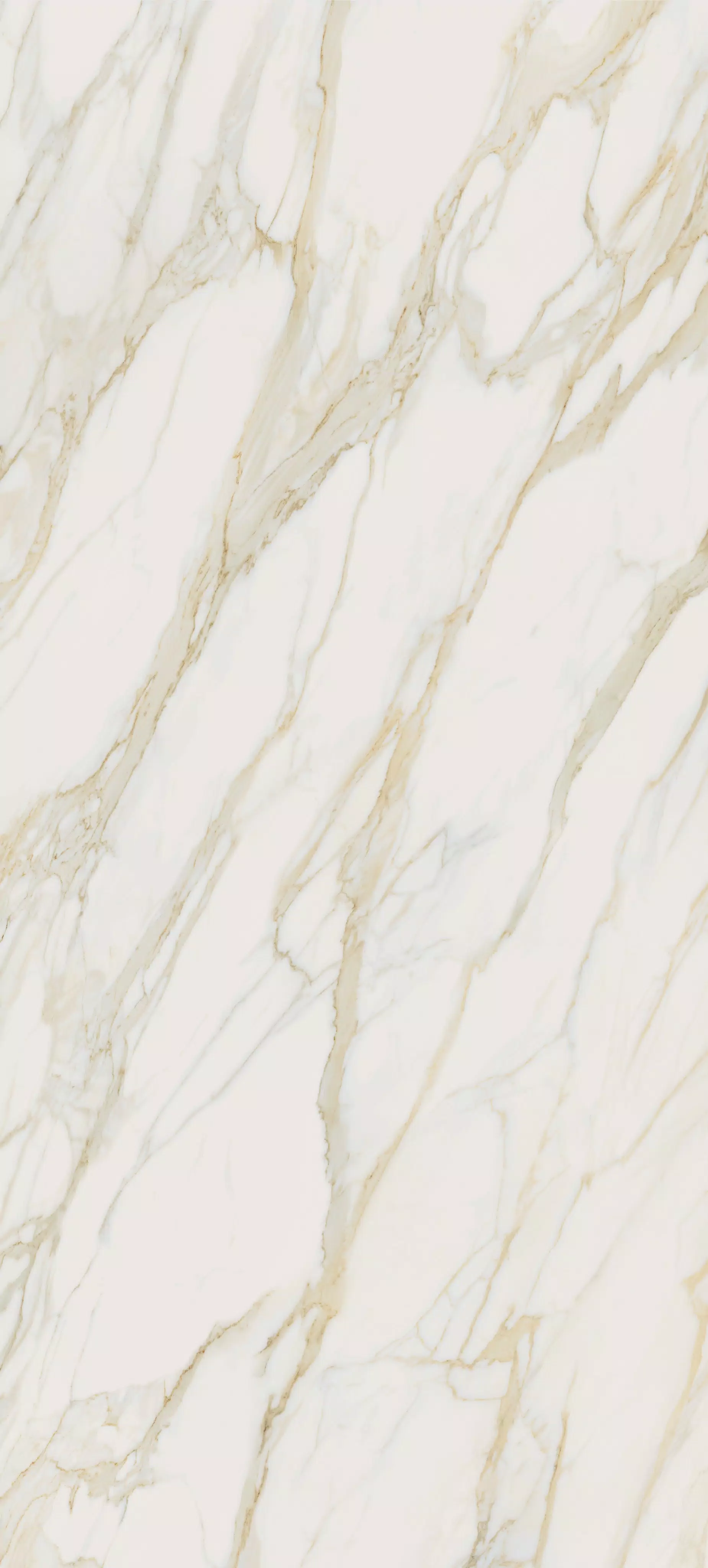 Apuano Oro | Florim