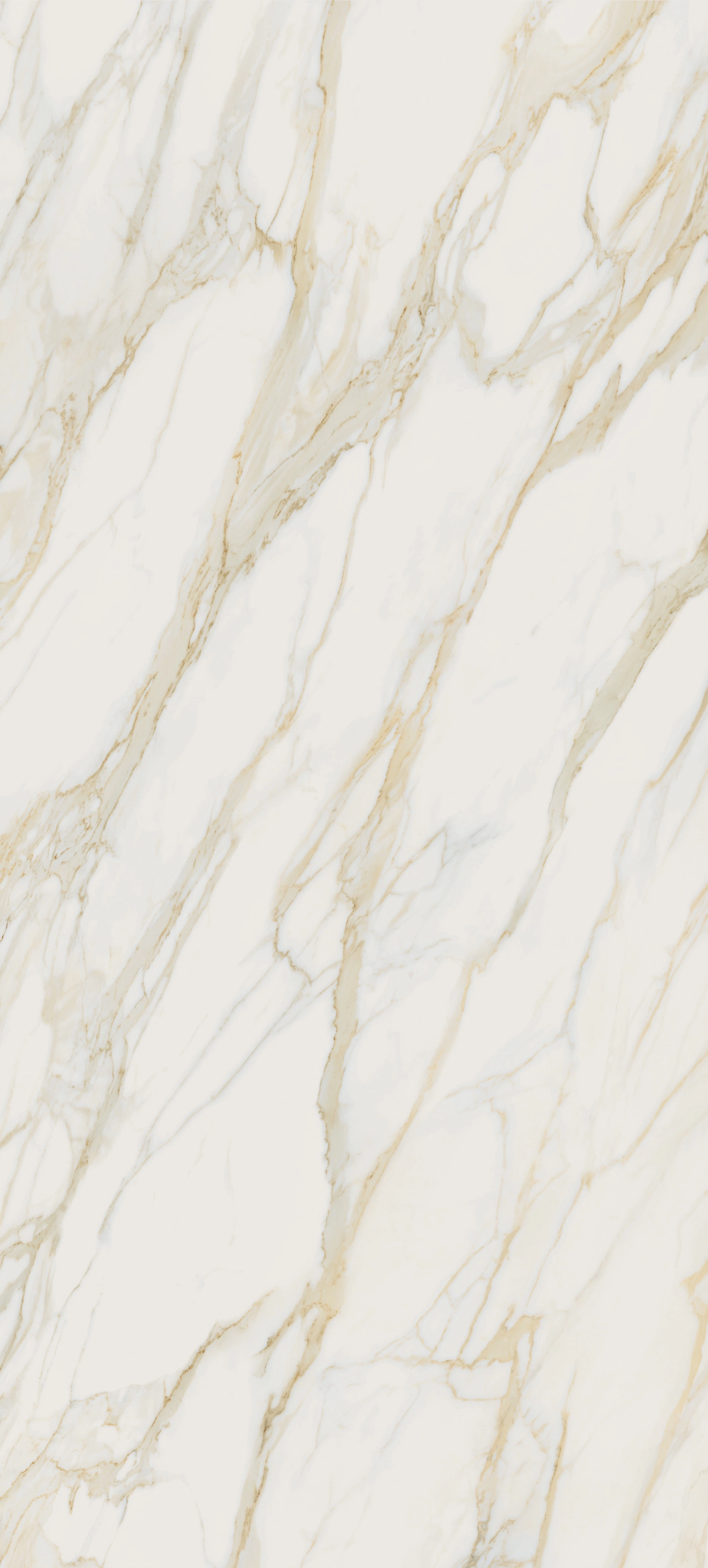 Apuano Oro | Florim