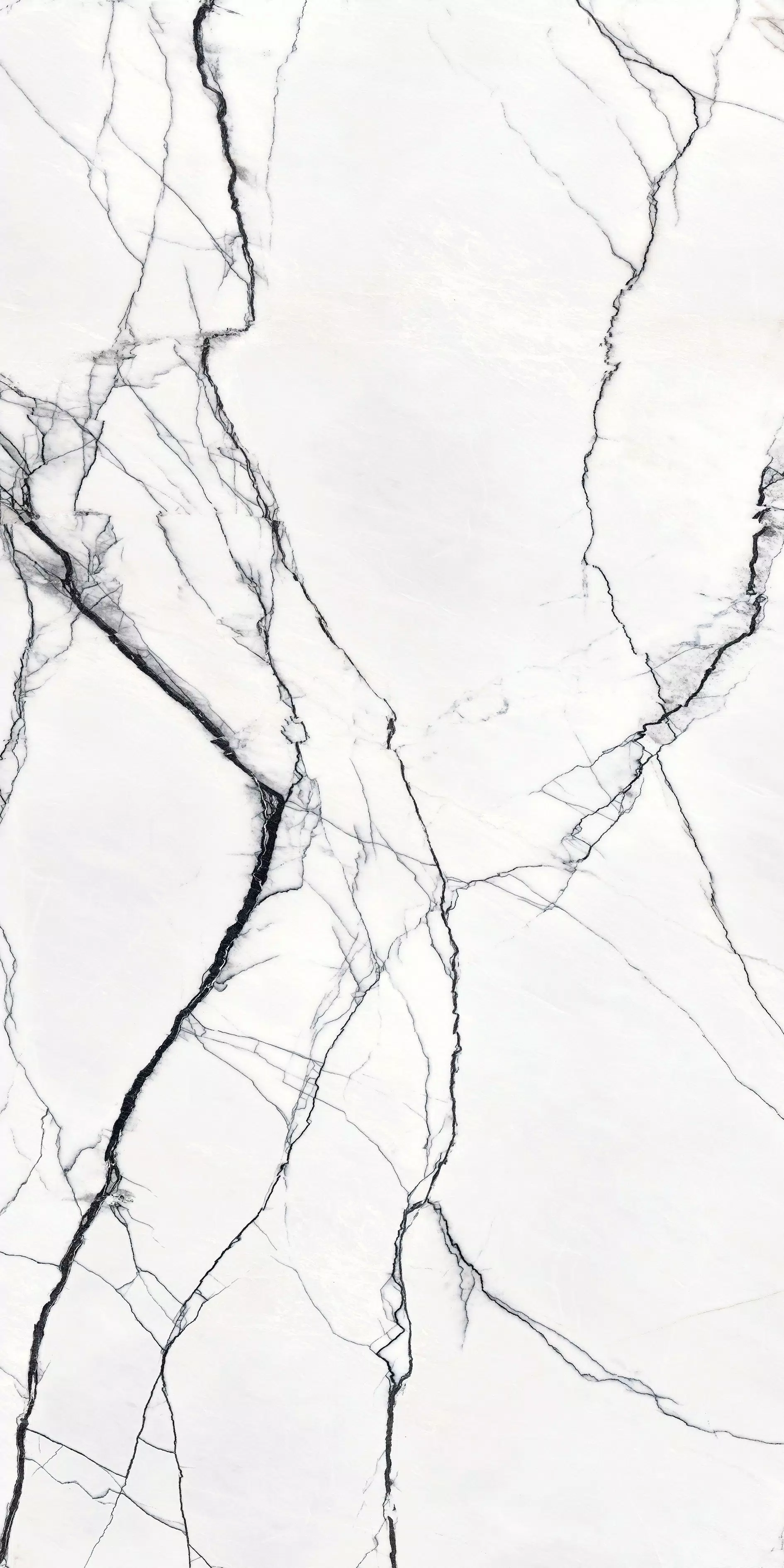 Marble Marble Breach A** 160X320 Glossy - 768749 | Florim