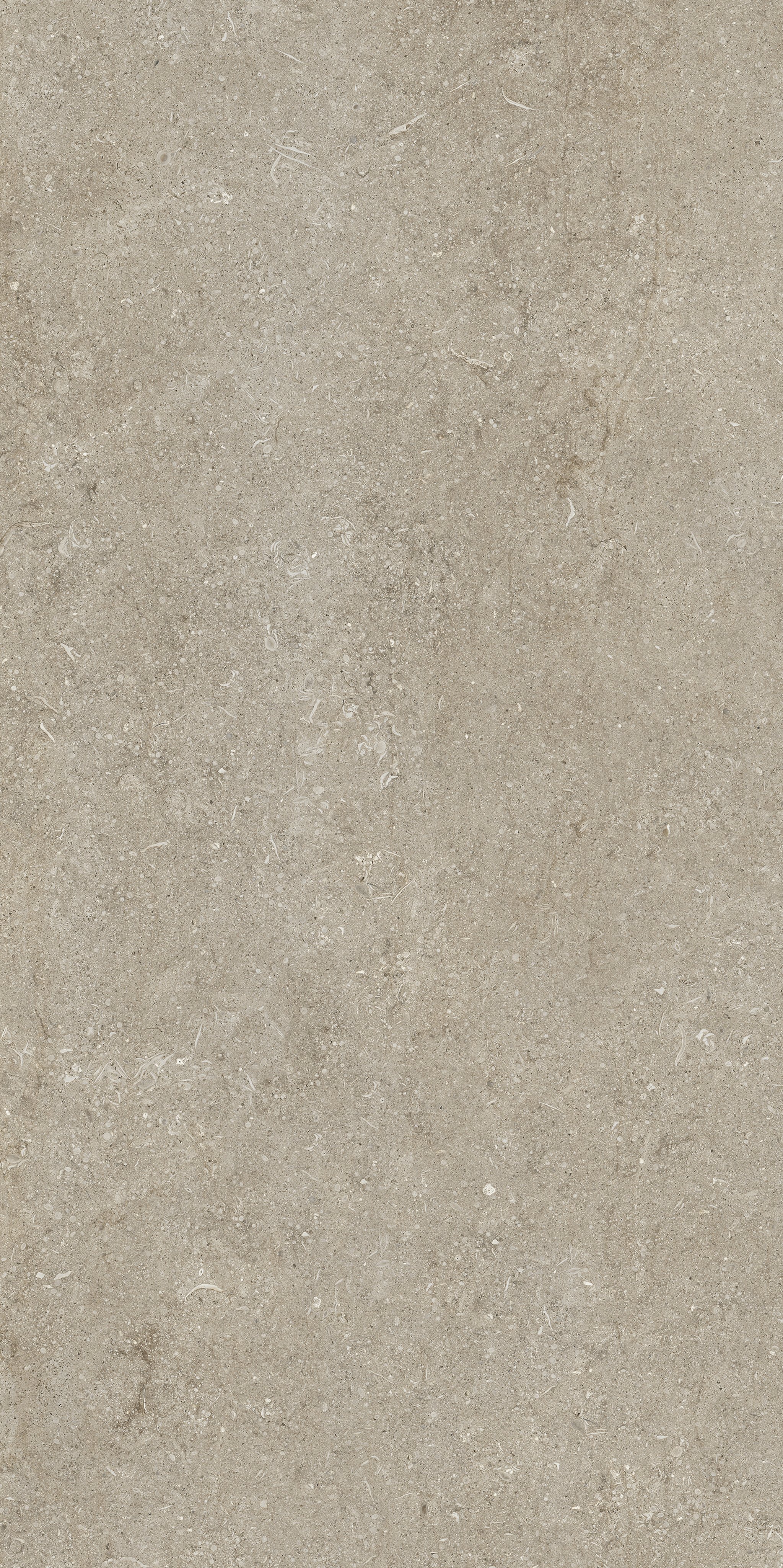 Florim Ivory Fossil 60x120 cm - Matte — Uni, Ivory Fossil