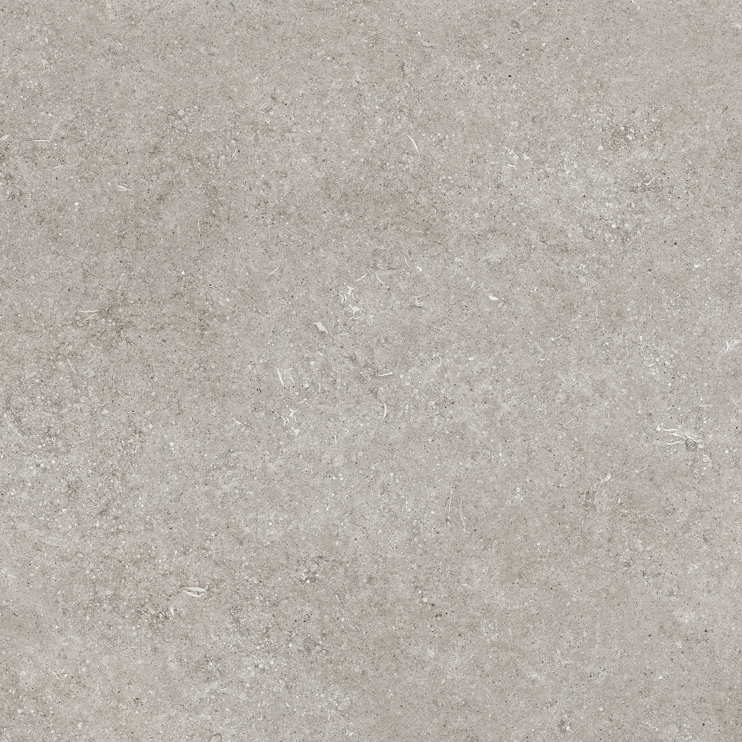 Florim Grey Fossil 80x80 cm - Matte — Uni, Grey Fossil