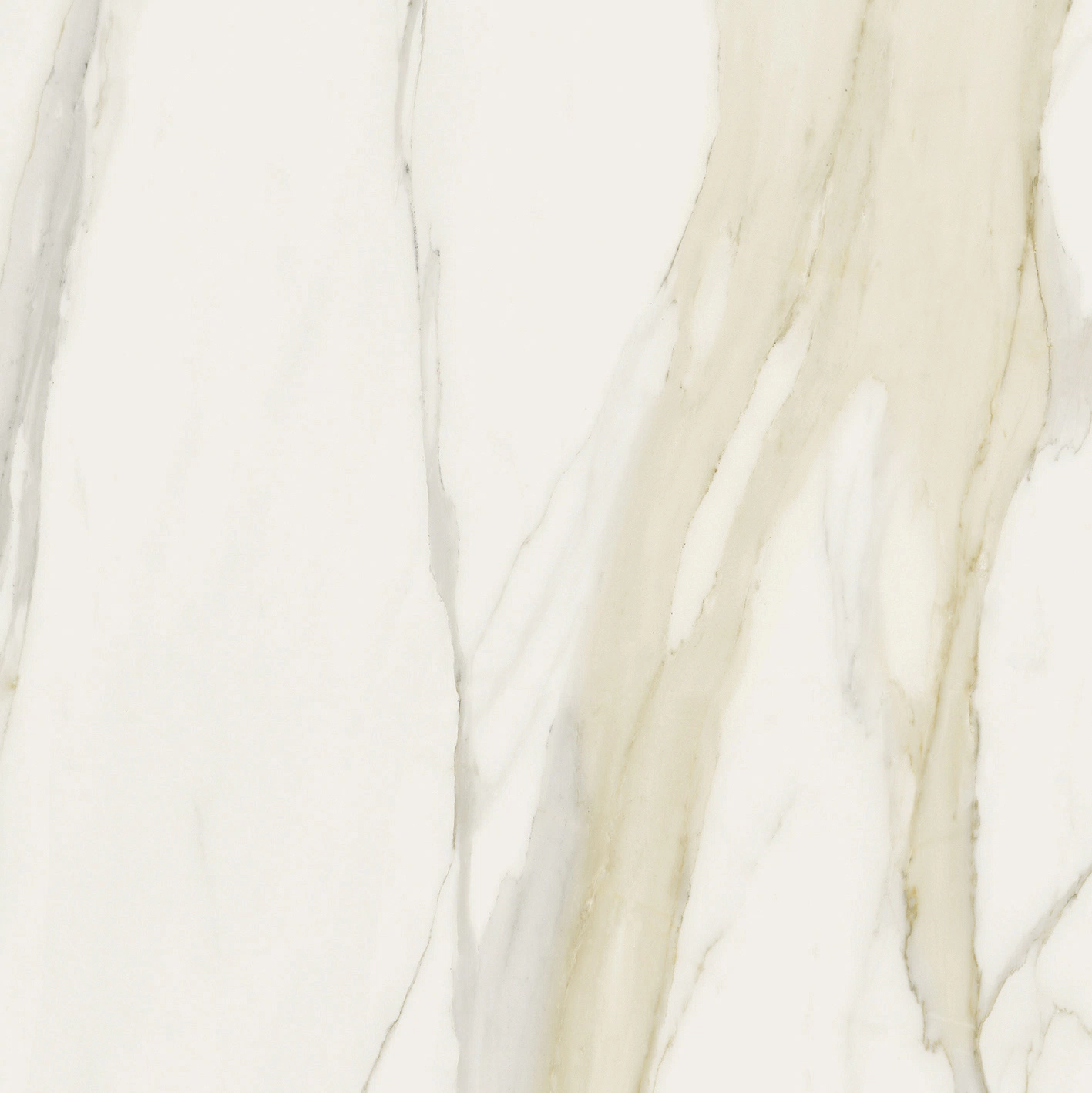 Calacatta Gold | Florim