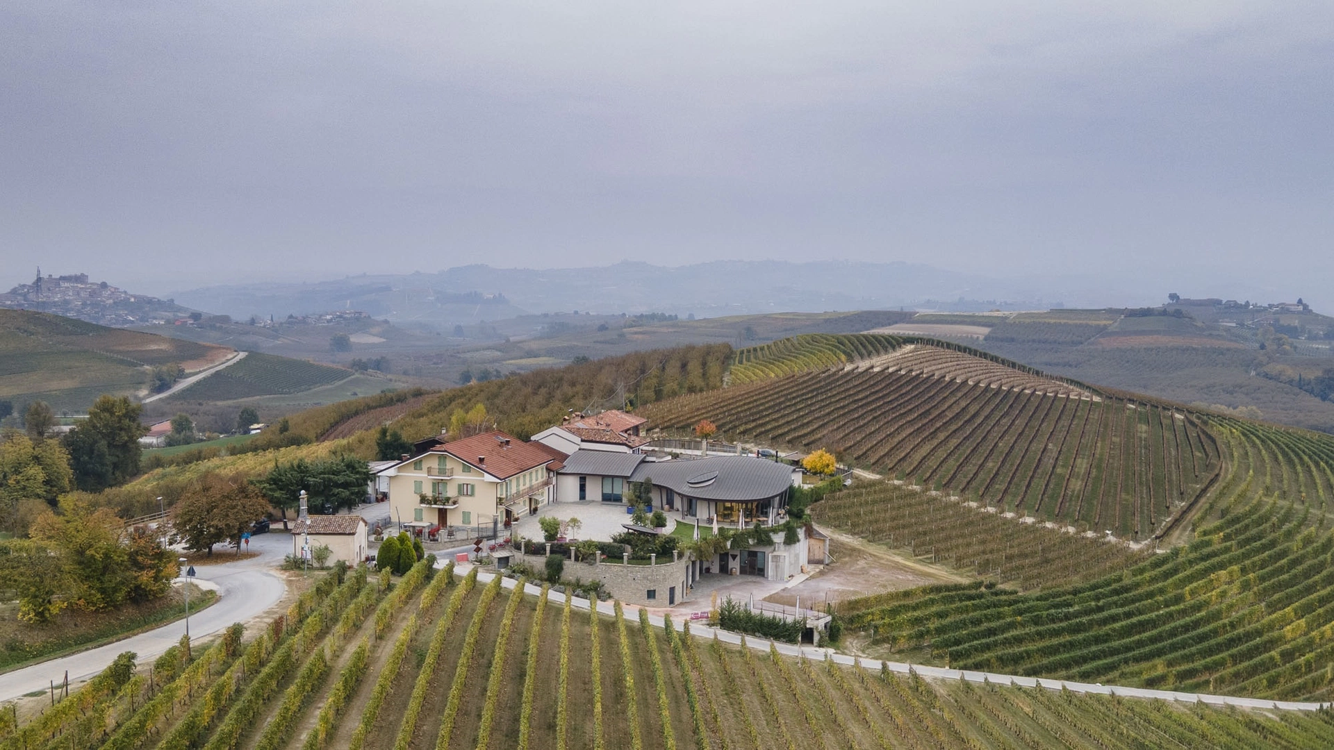 Cantina Morra Wines | Florim