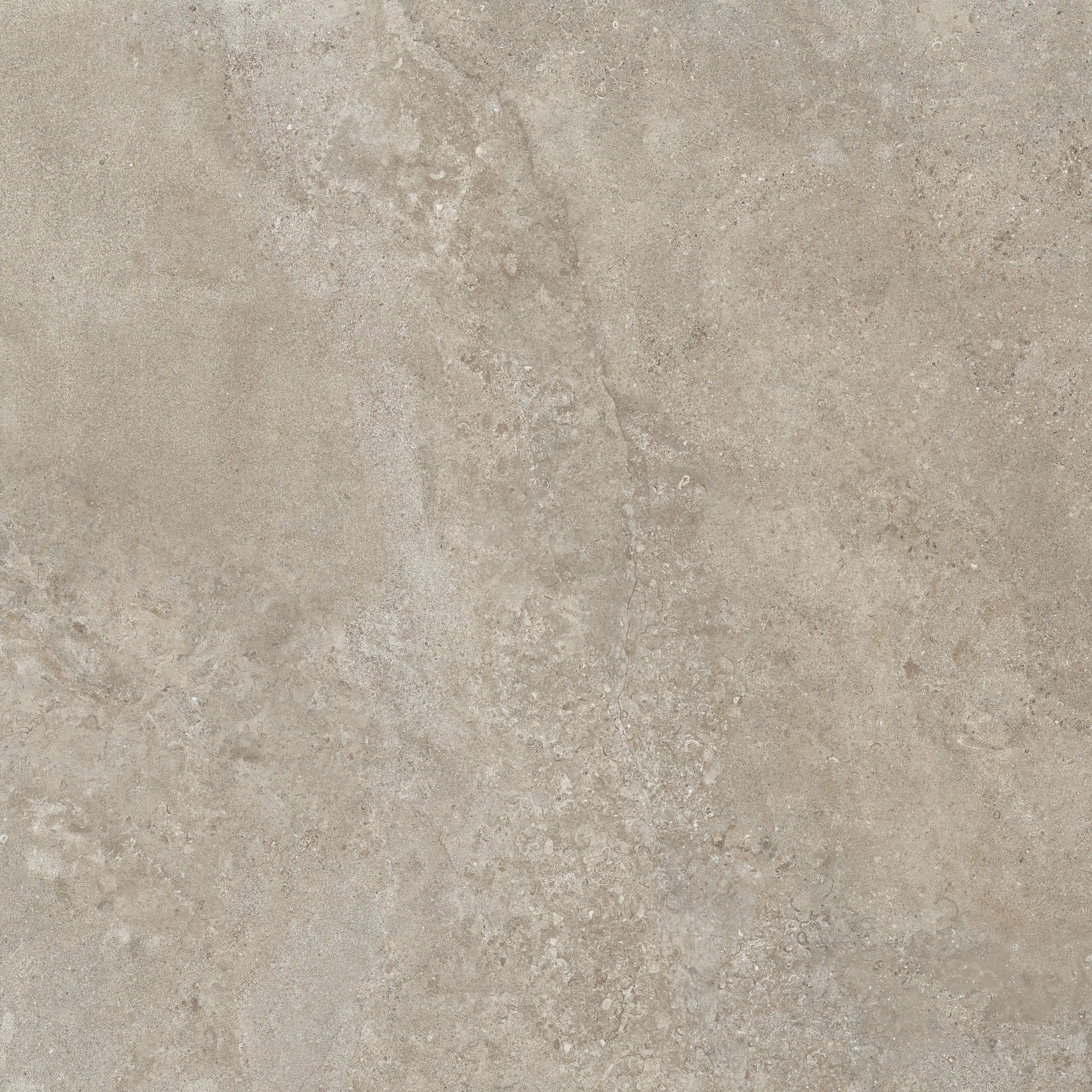 Dove Grey | Florim