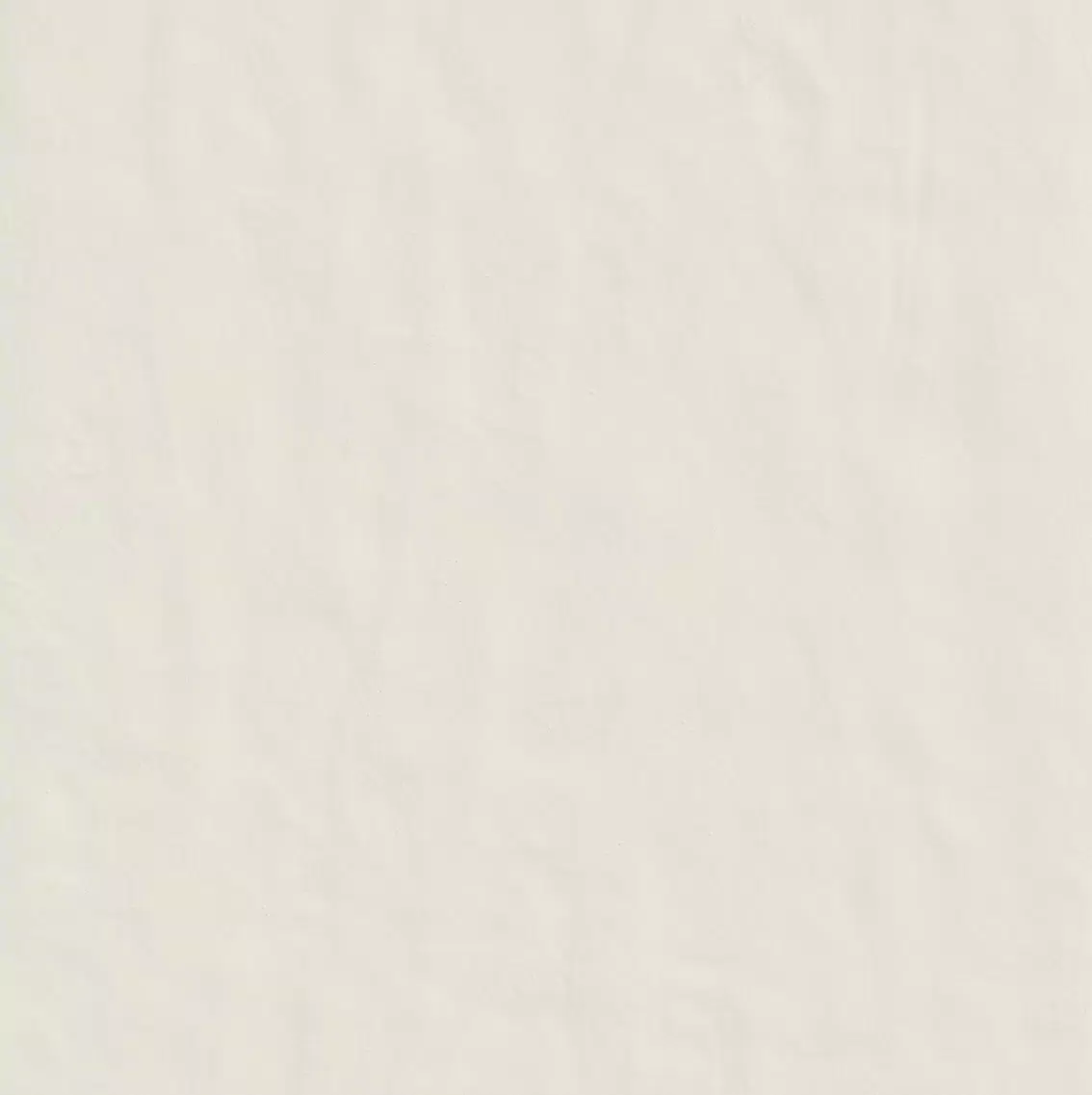 Neutra 6.0 01 Bianco 120X120 Naturale 748493 | Florim