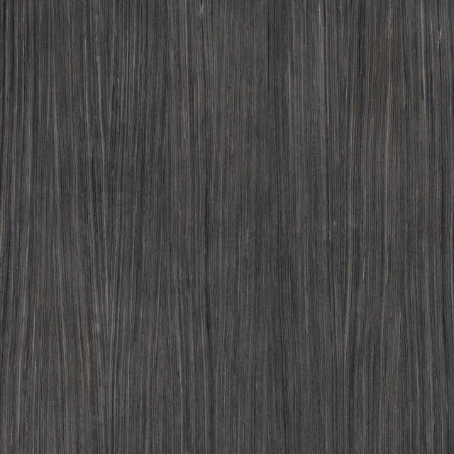 Plank 06